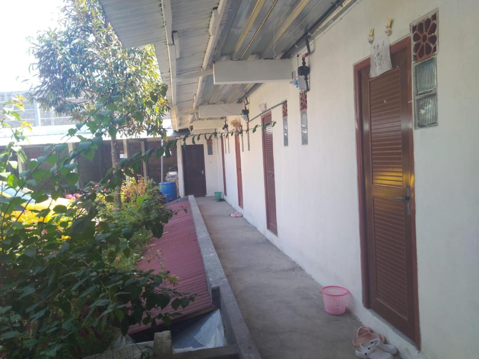 Guest House Griya Mas Busungbiu view 3