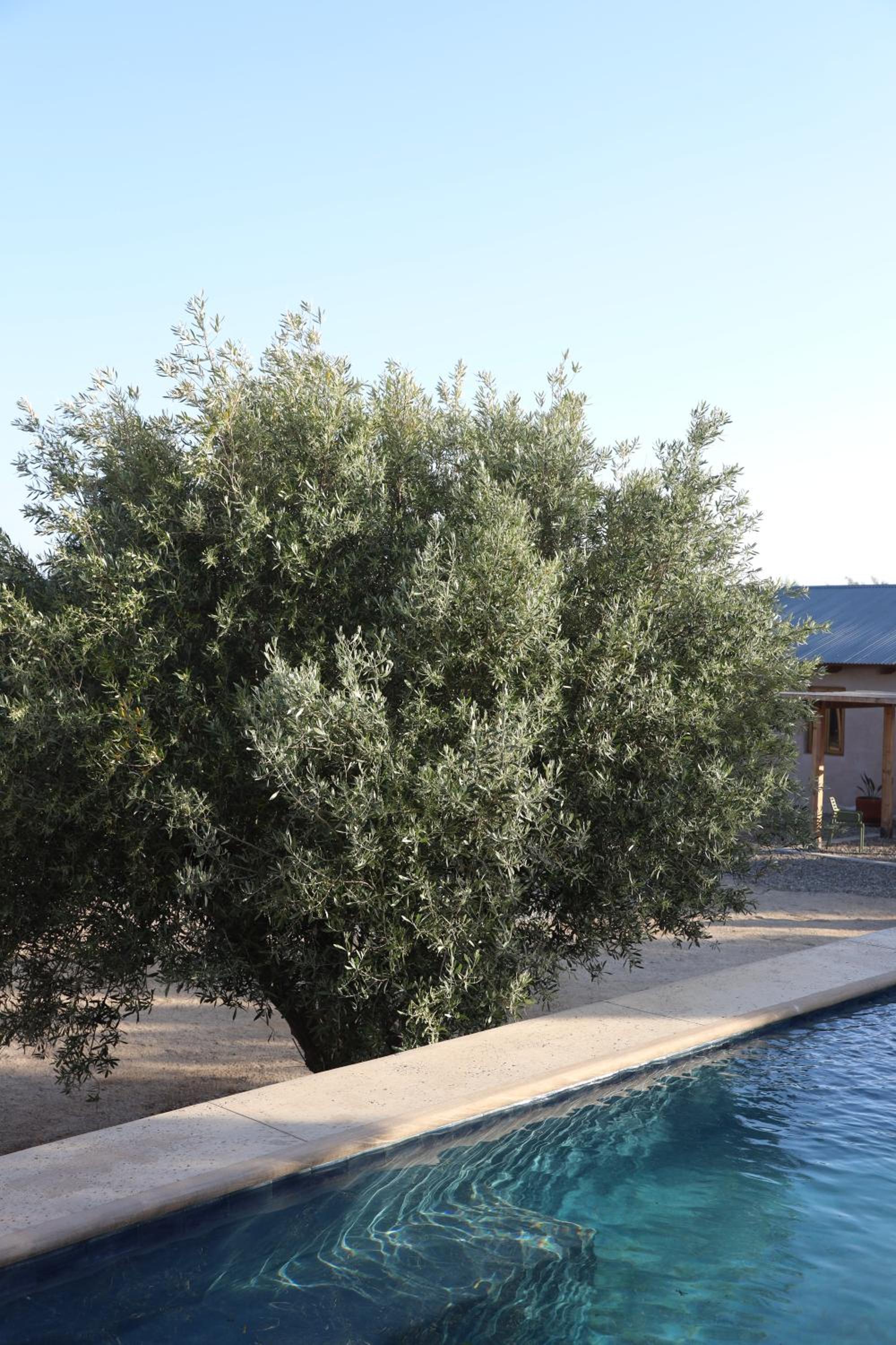 Photo 43