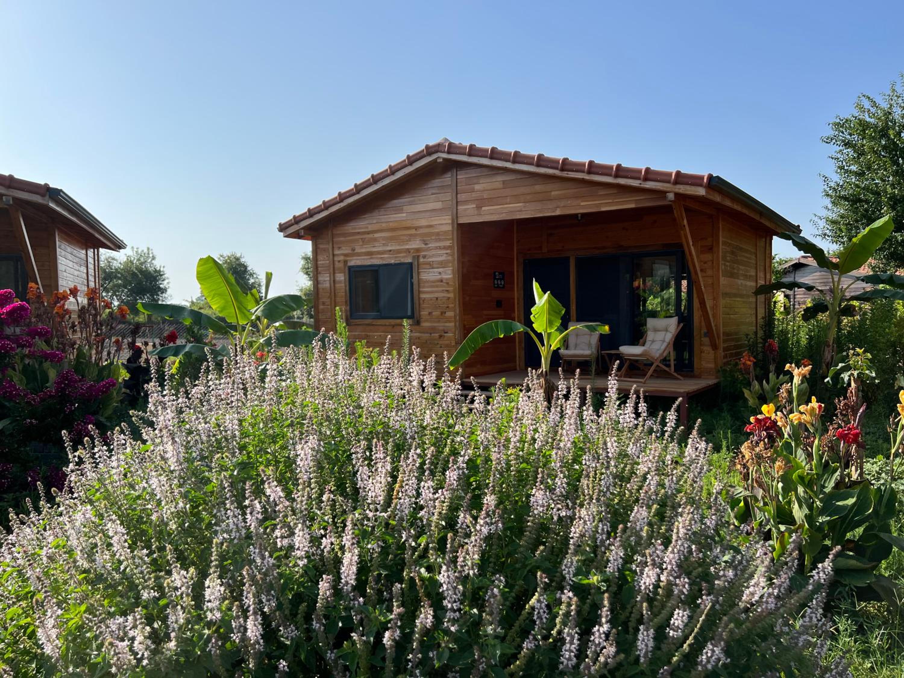 Lemon Garden Lodge