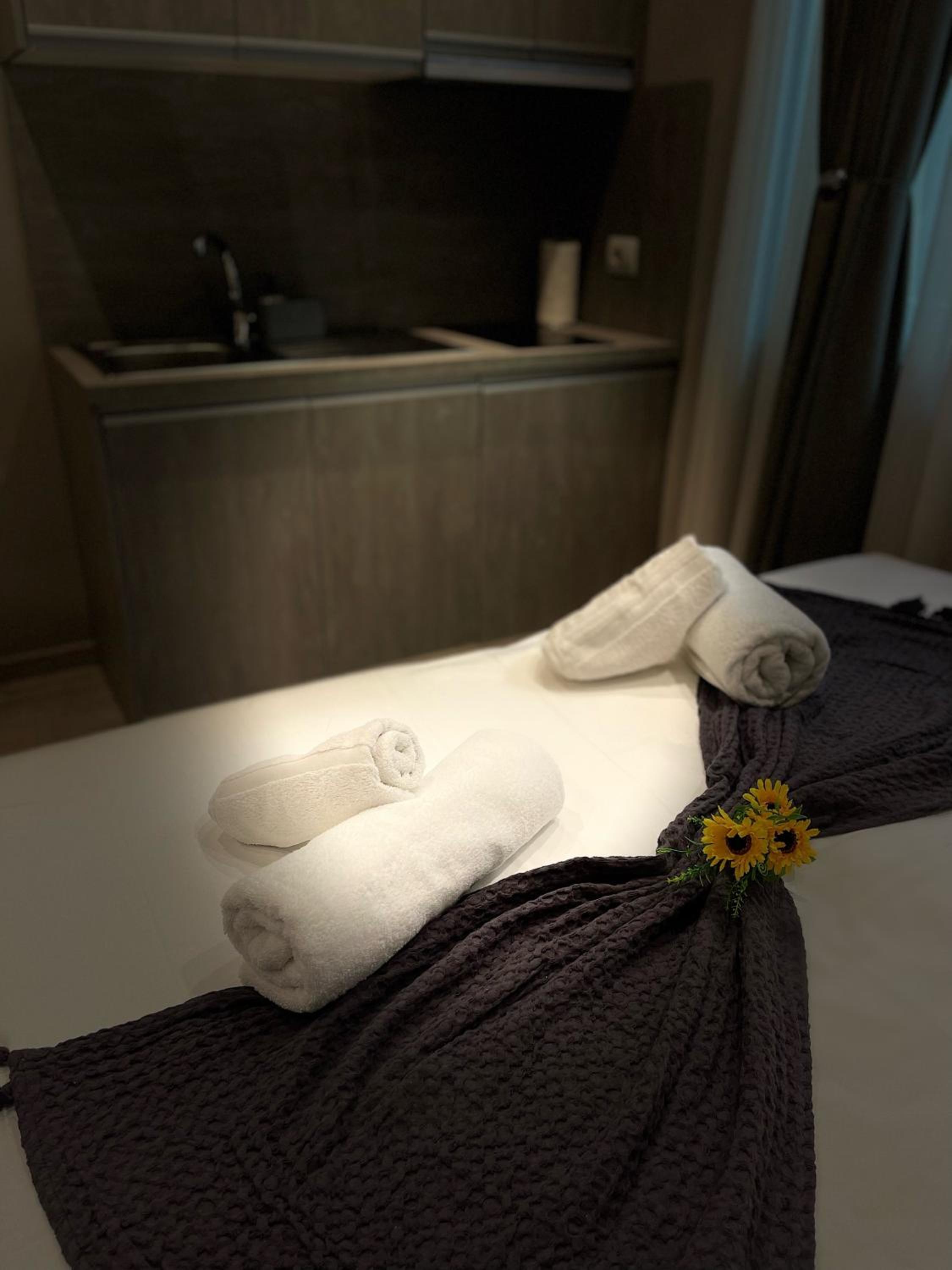 Alb Studio Apartments - Easy Access to City Center