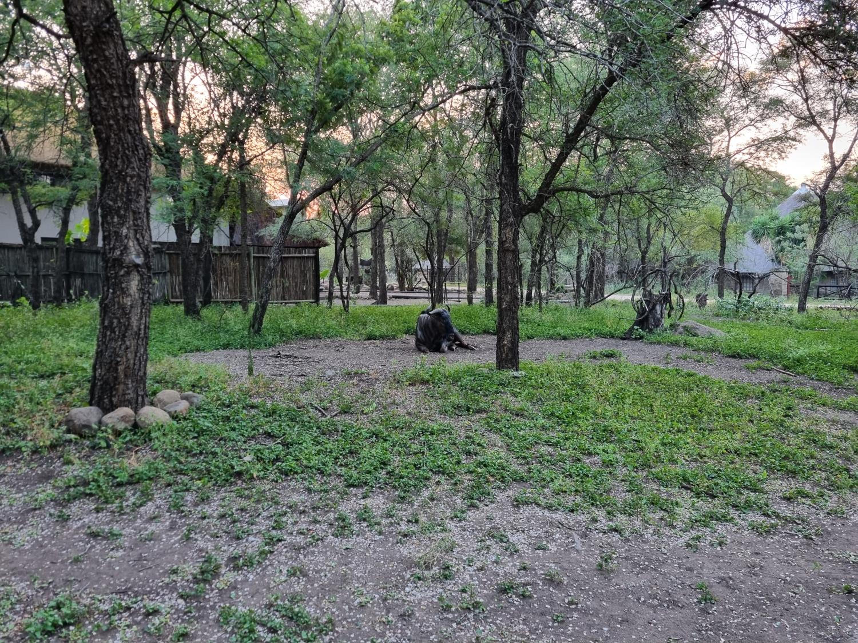 Photo 42