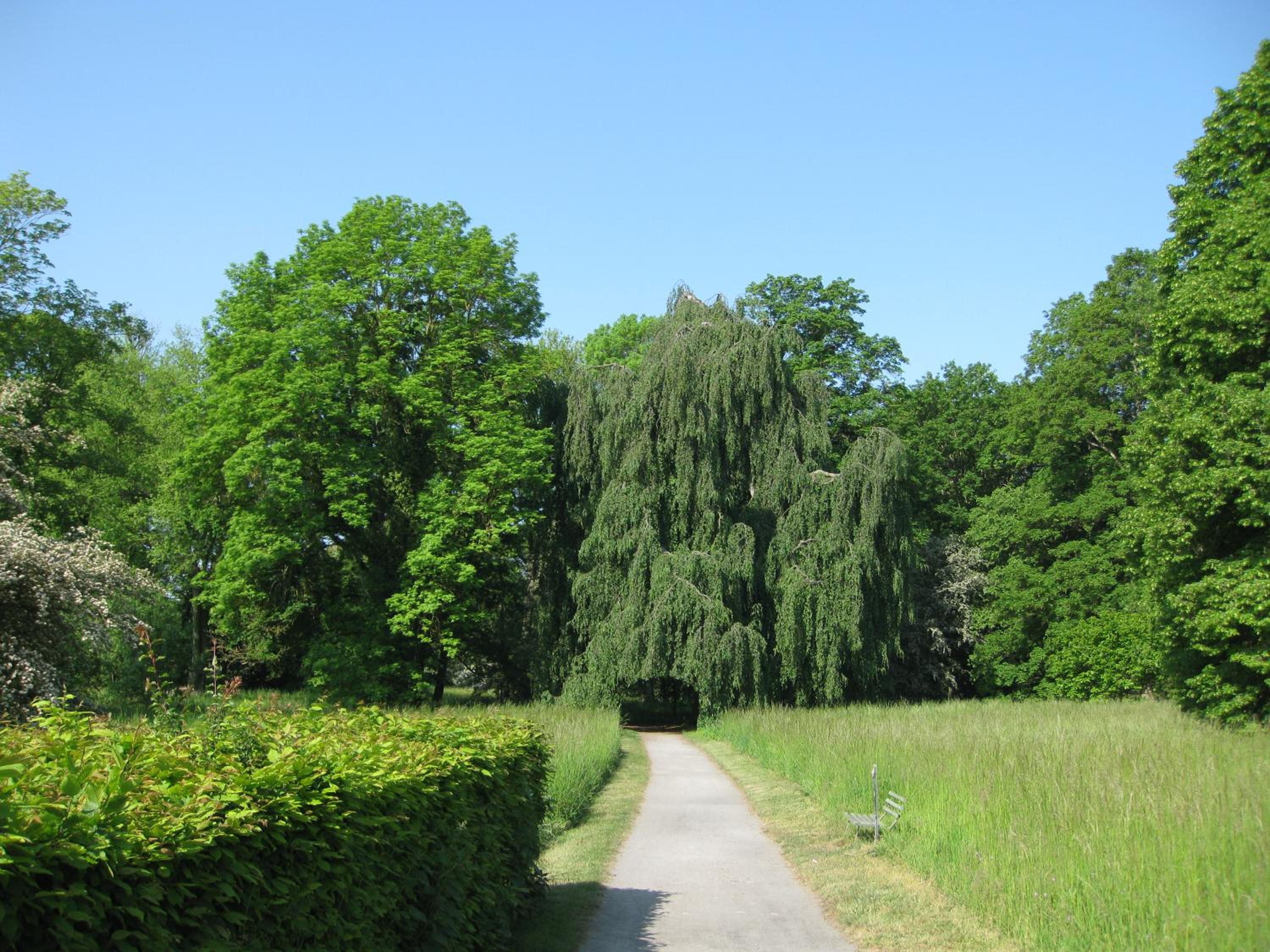 Photo 22