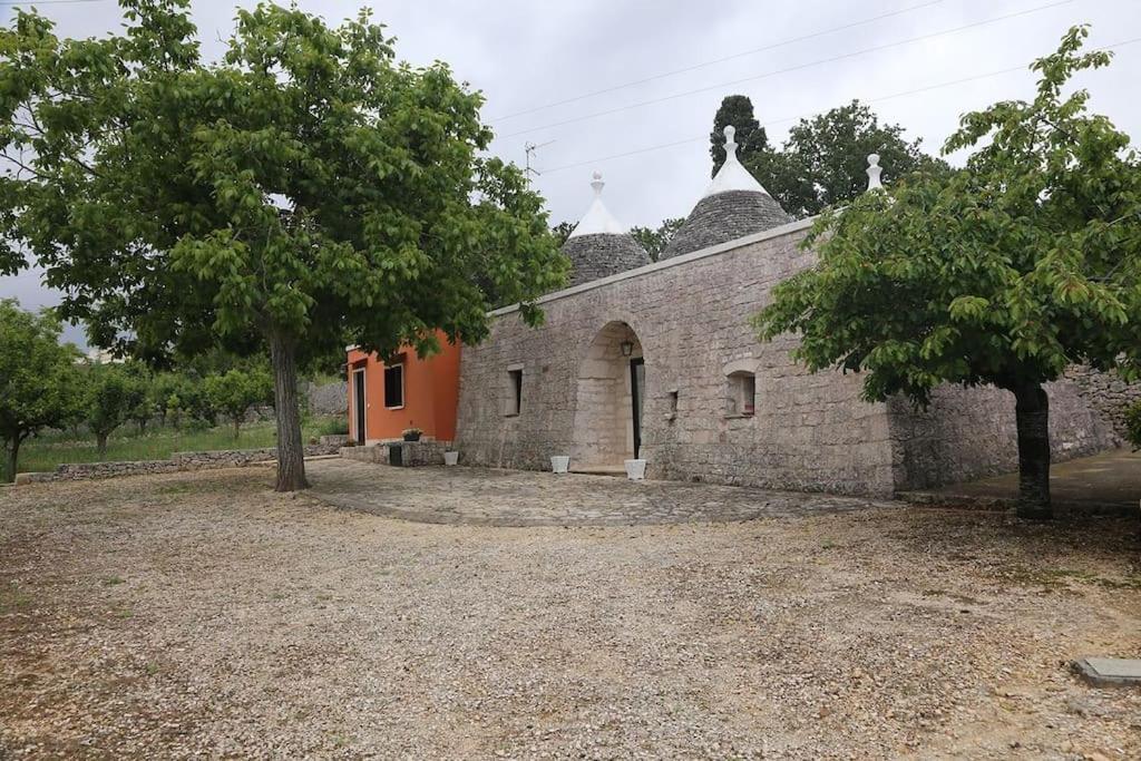 Photo 6
