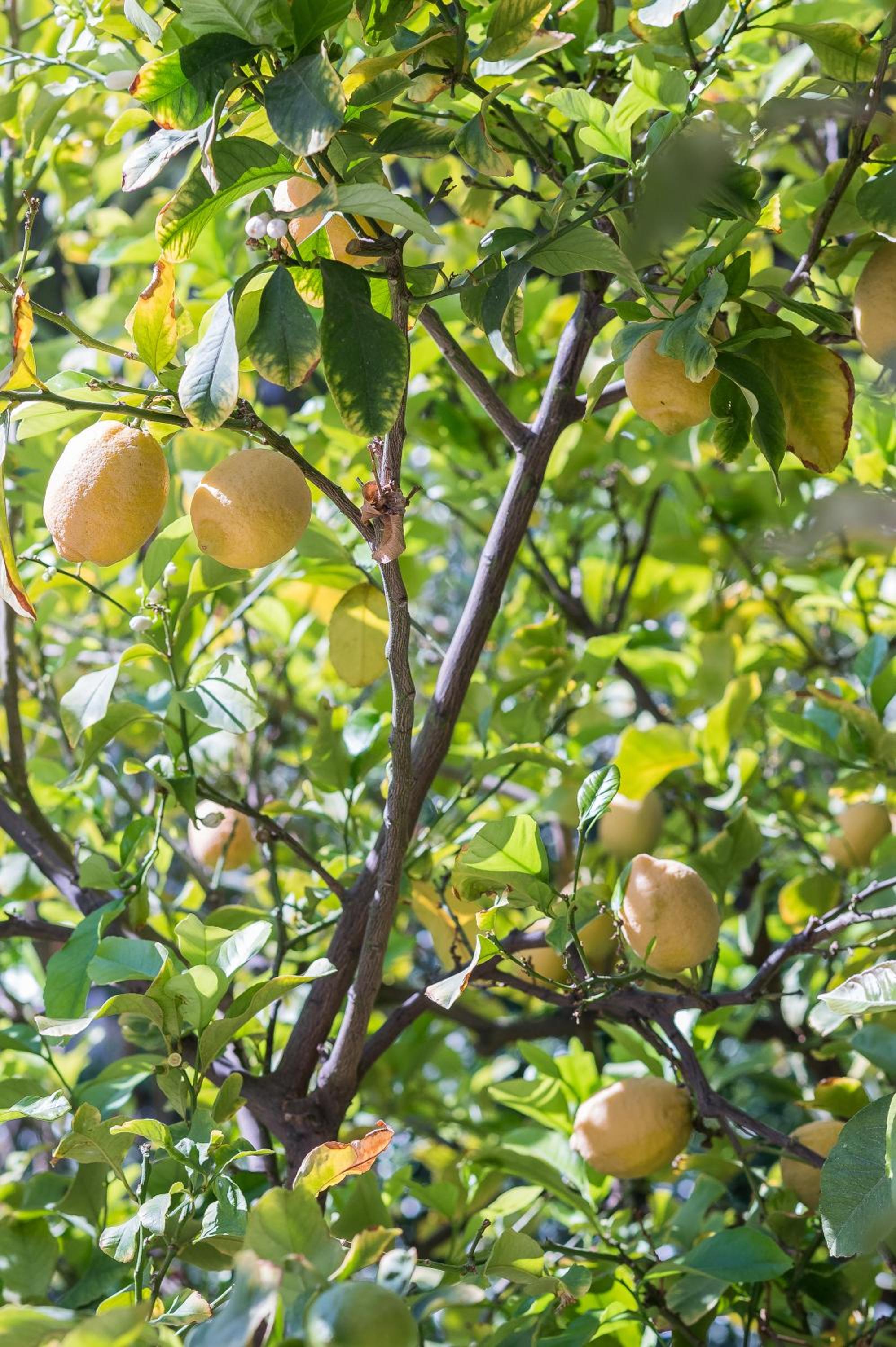 other