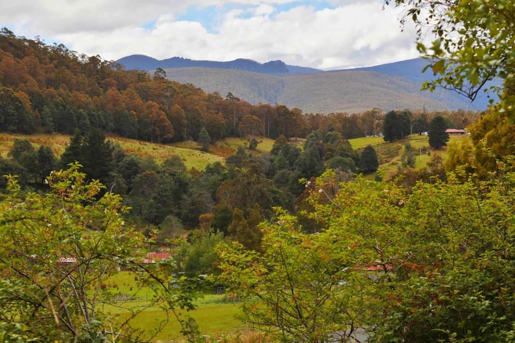 Peaceful & luxury Country Living