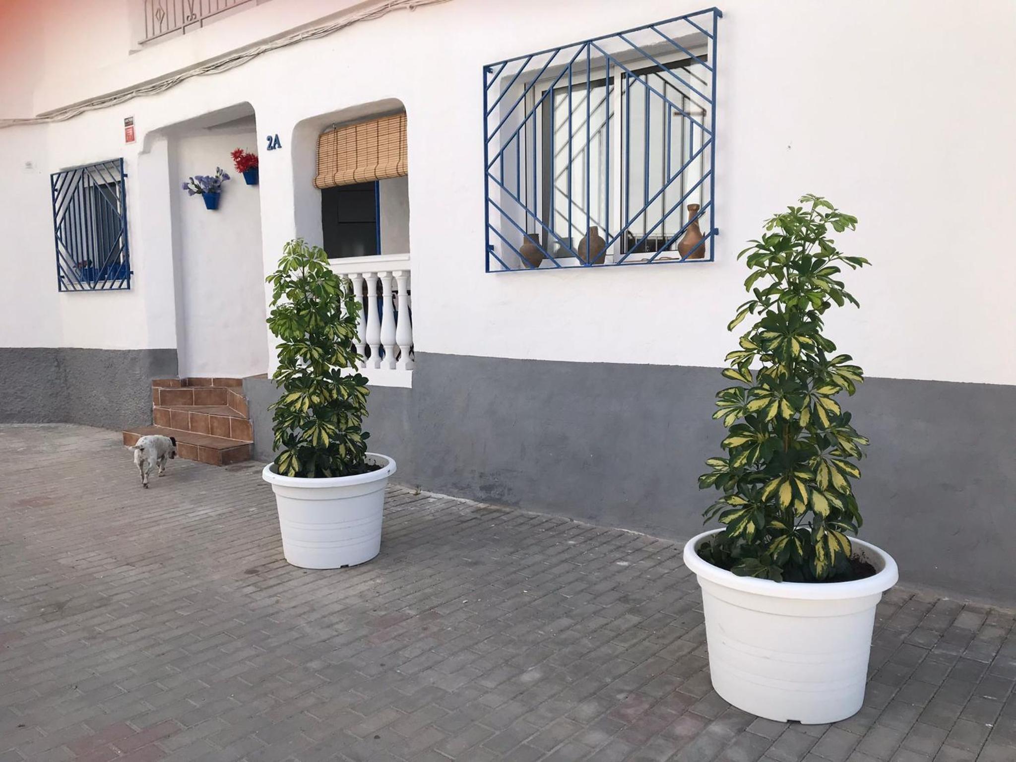 APARTAMENTOS LOLITALOLA HOLIDAYS