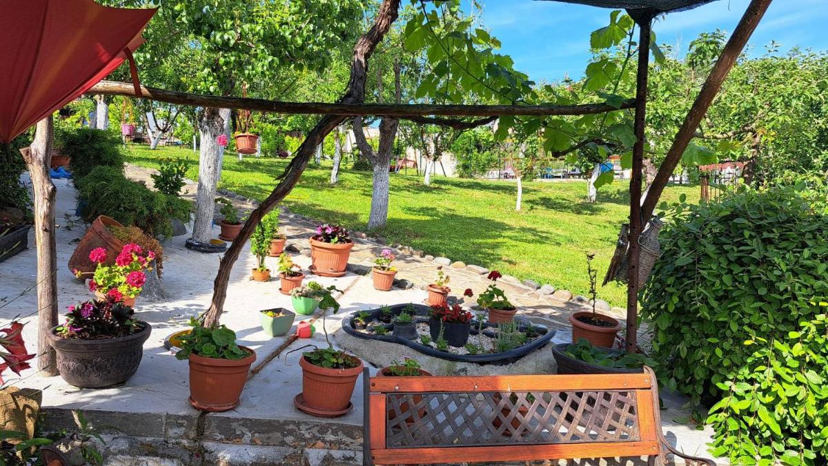 Villa Zelenika