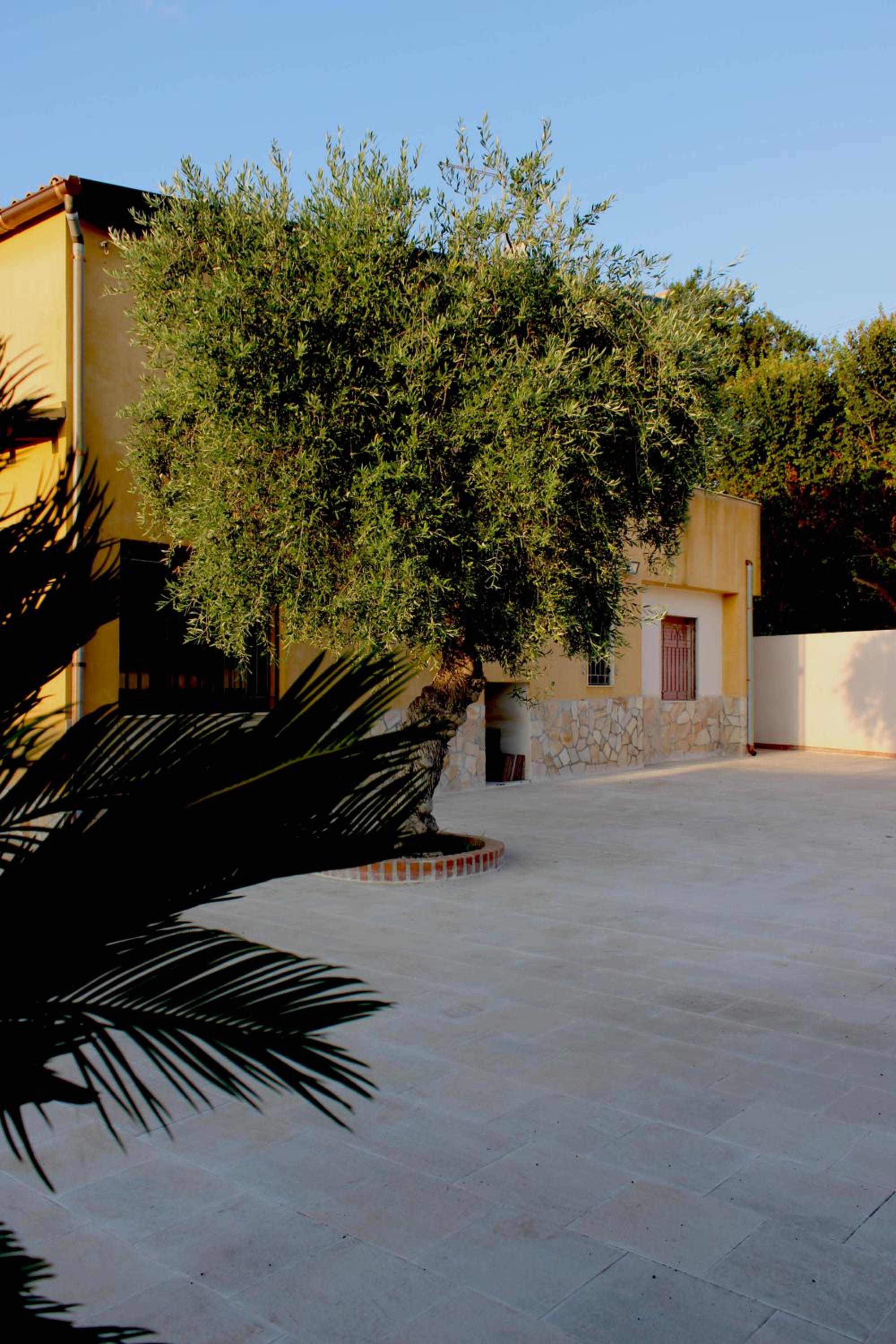Photo 46