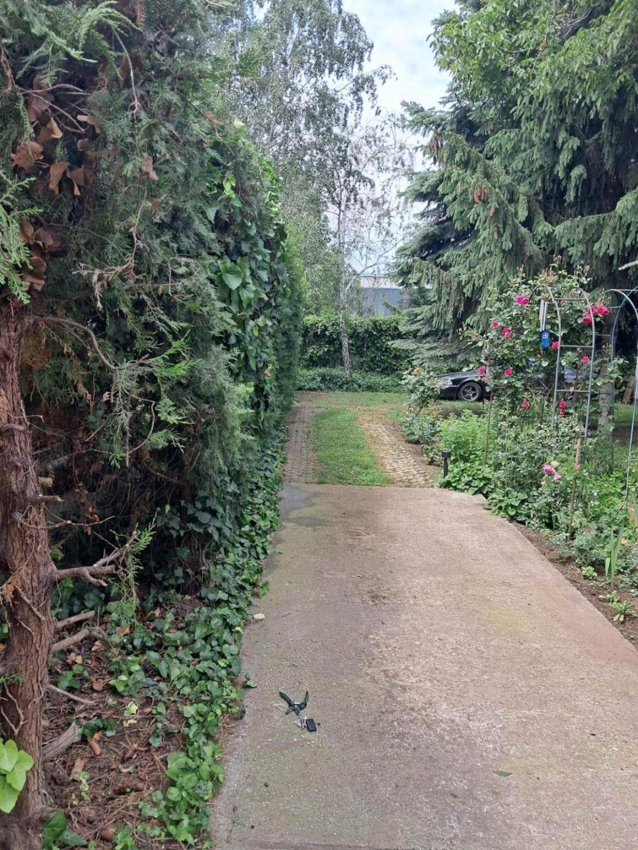 2 Rooms Retro Guesthouse in a silent garden view 3
