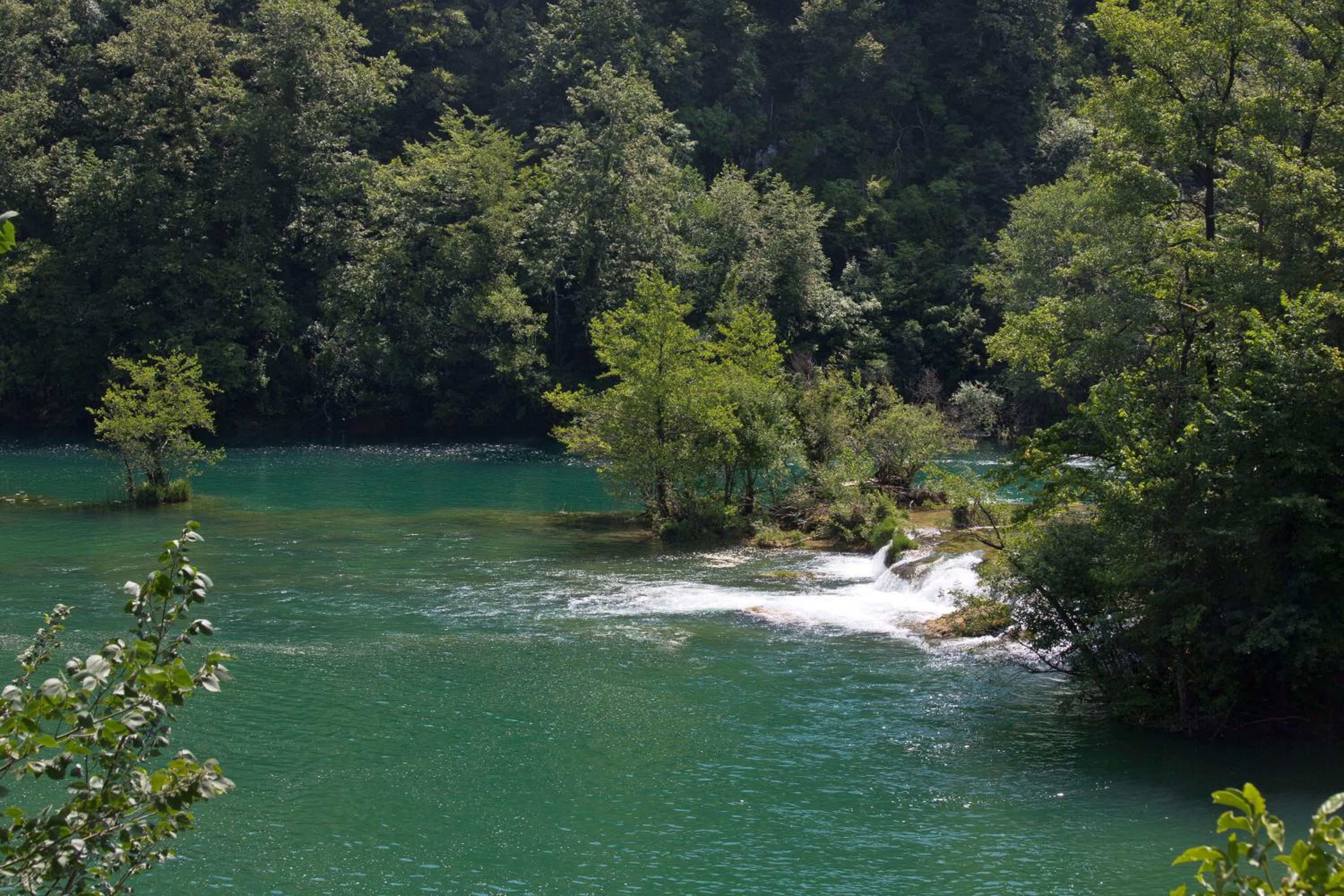Mrežnički doživljaj