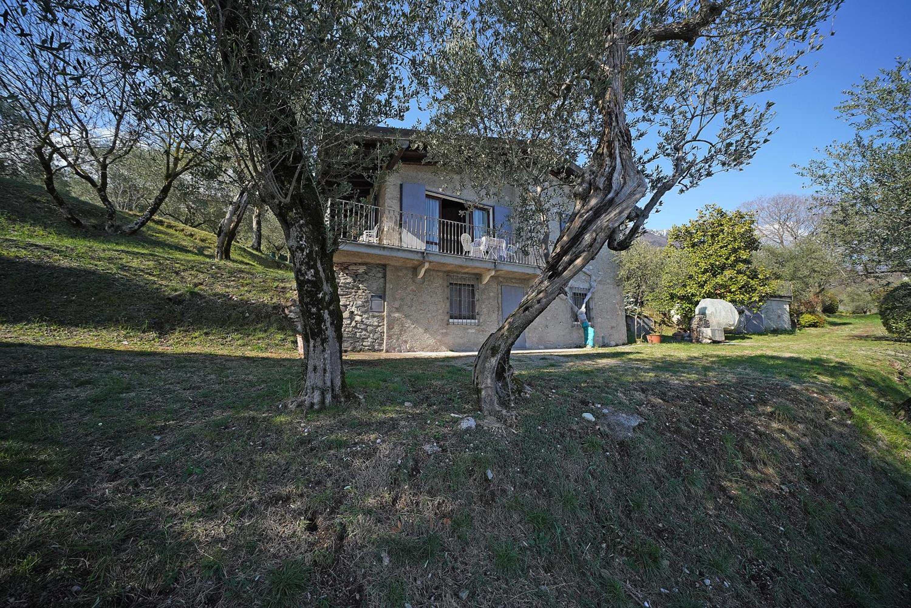 Ville in uliveto vista lago - VILLA CASALIVA view 2