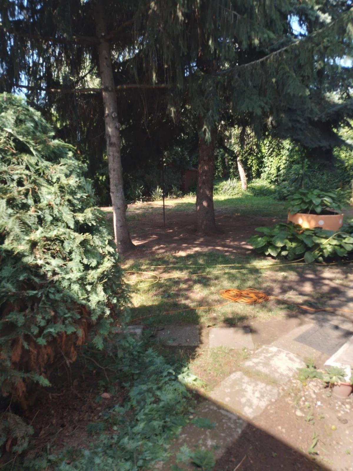 2 Rooms Retro Guesthouse in a silent garden view 2
