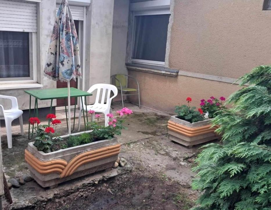 2 Rooms Retro Guesthouse in a silent garden view 4