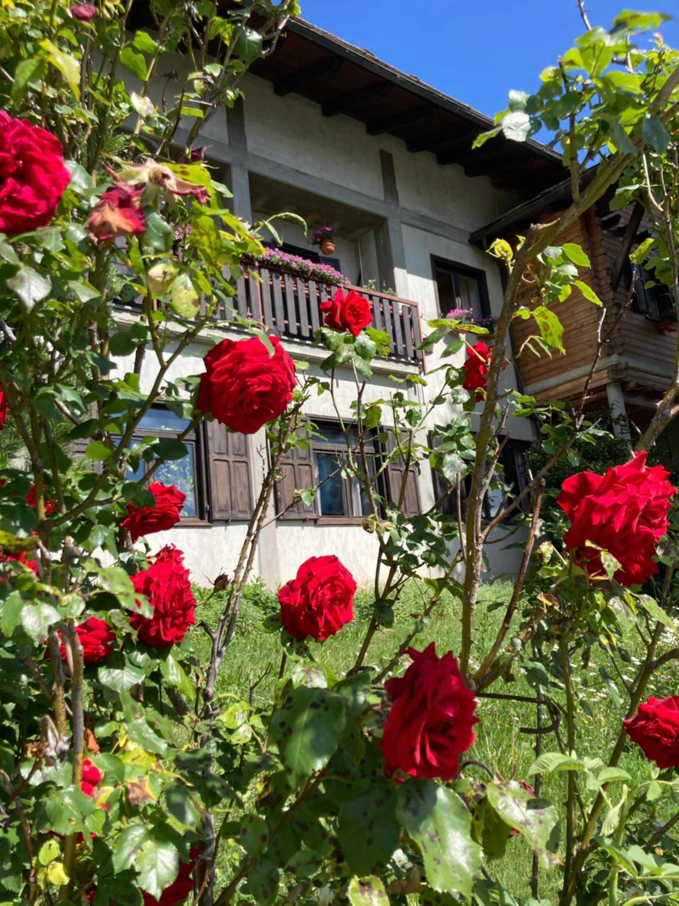Maison Semon view 5