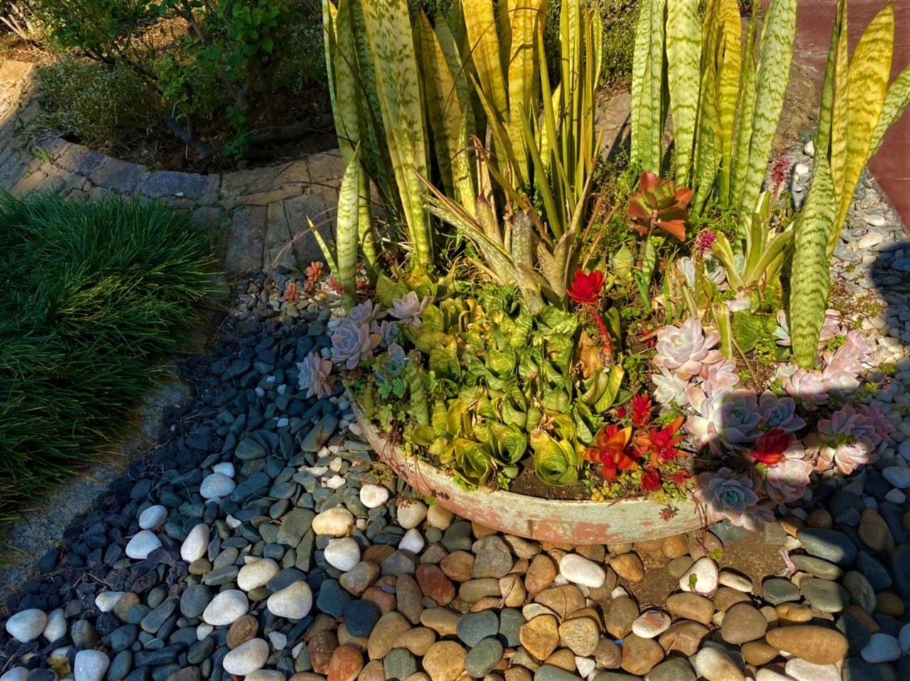 Photo 42