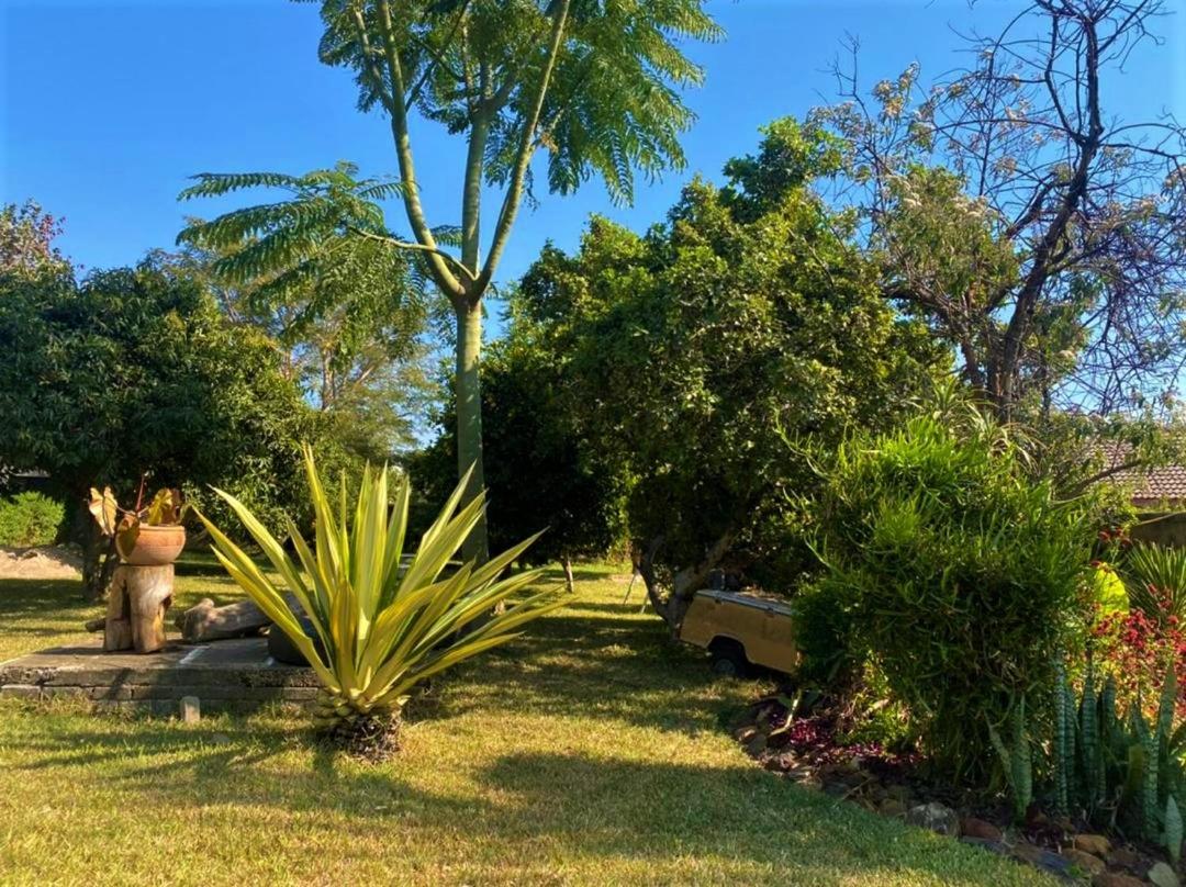 Photo 45