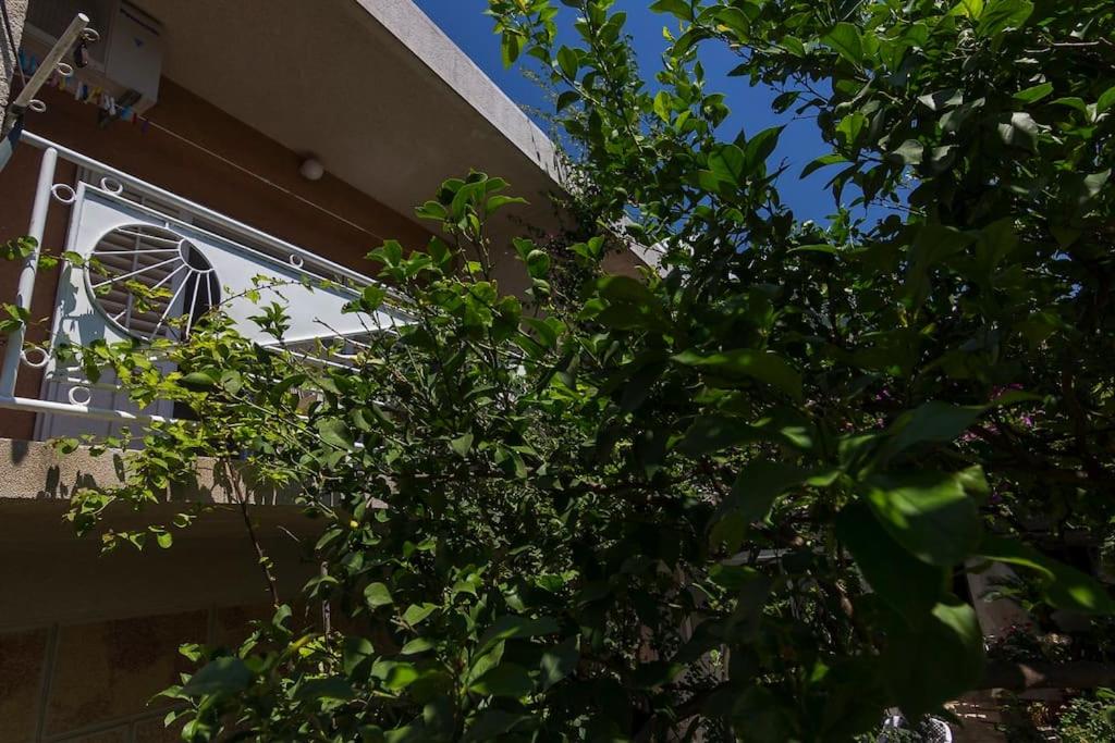 Apartman Konstanca