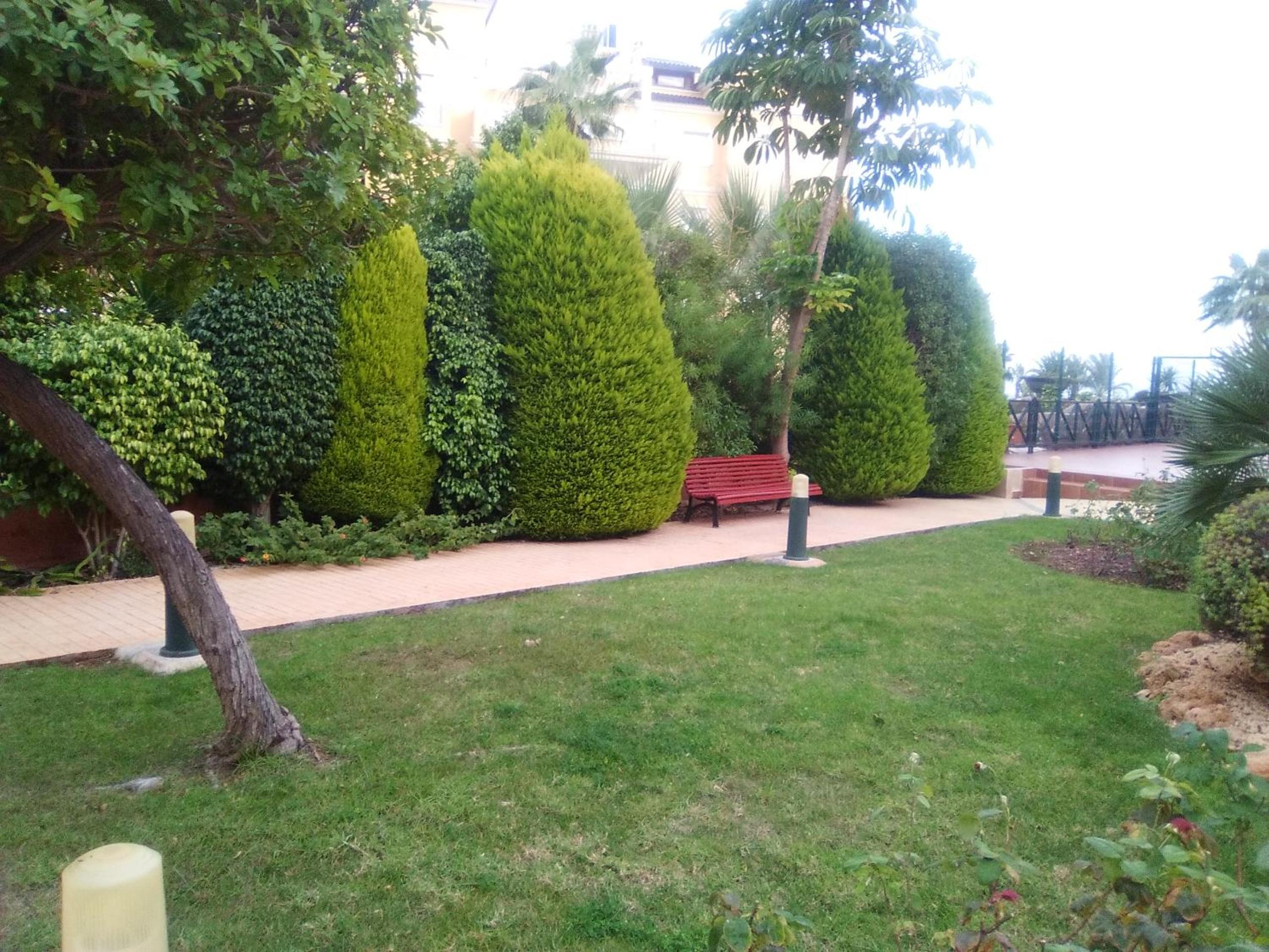 Photo 16