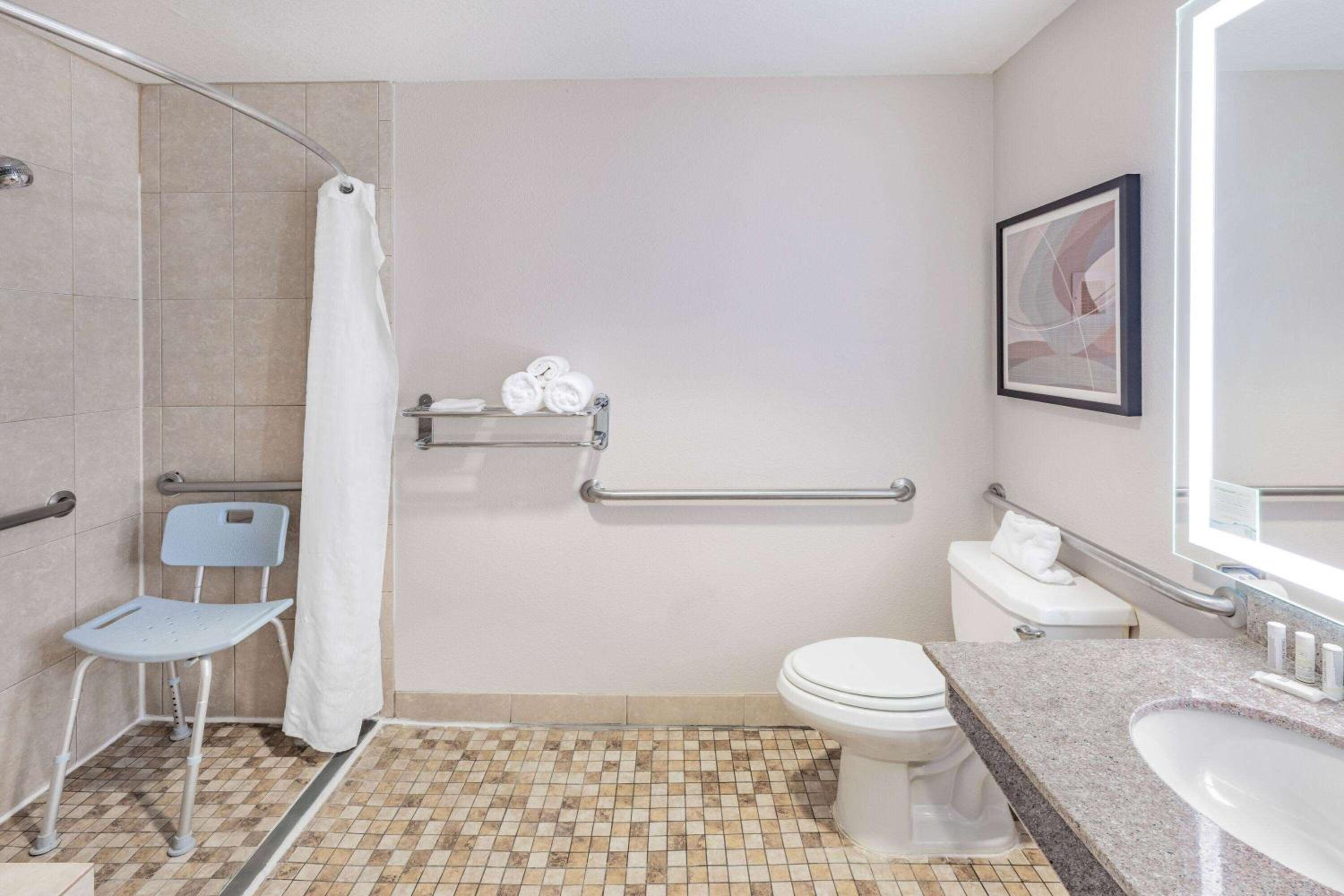 Wingate by Wyndham Houston Bush Intercontinental Airport - Property Image 59