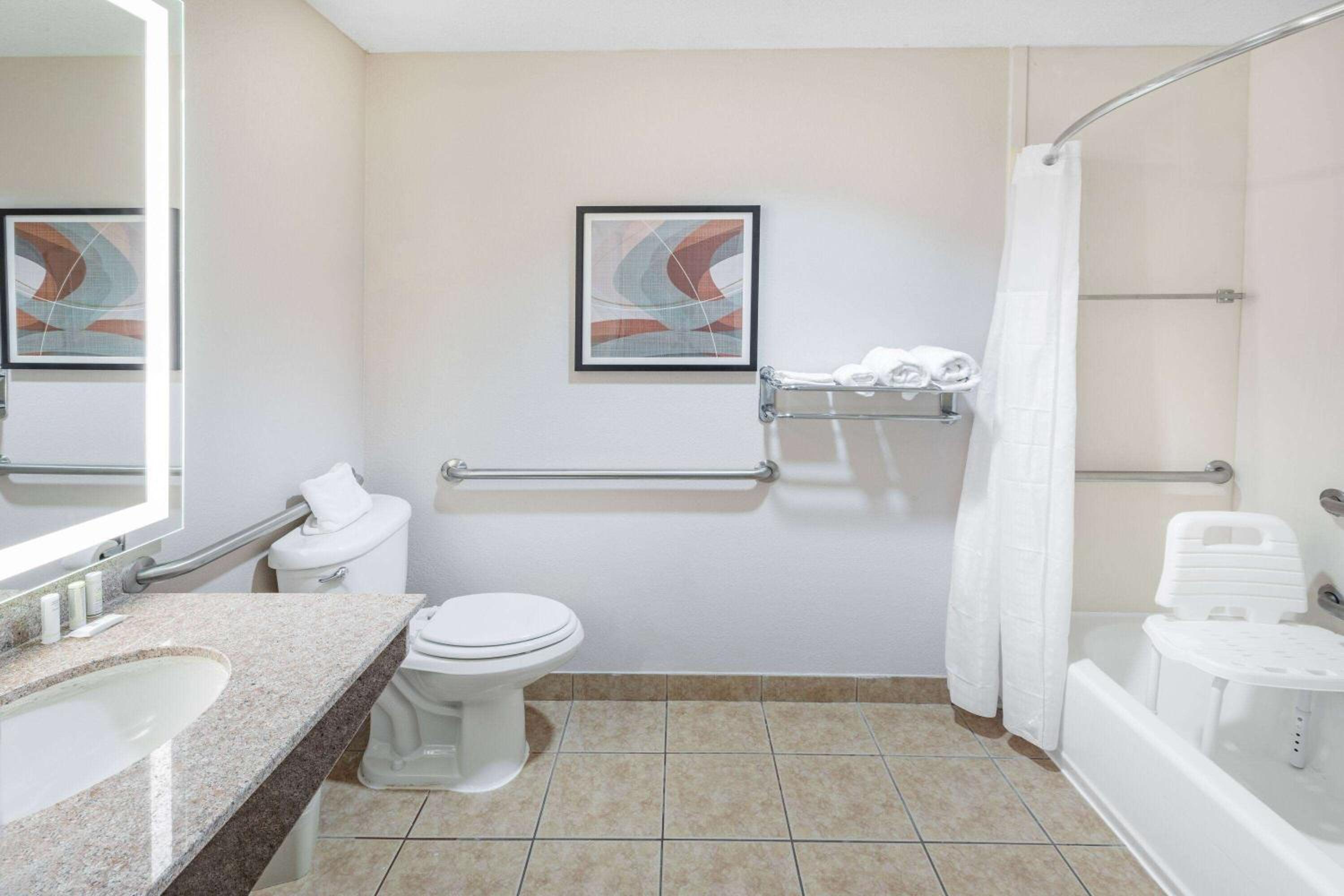 Wingate by Wyndham Houston Bush Intercontinental Airport - Property Image 60