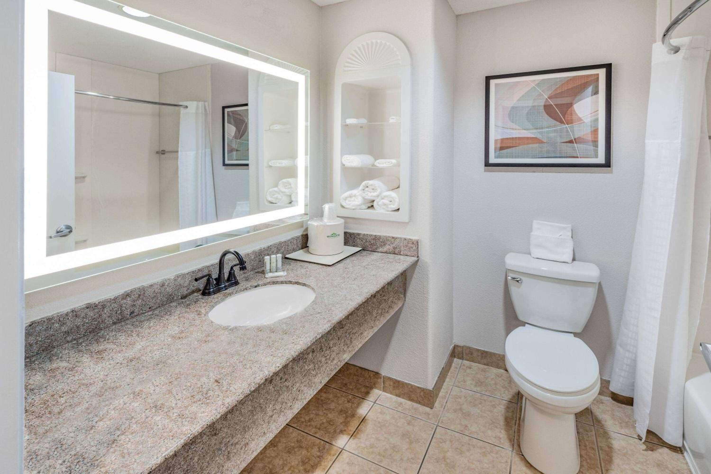 Wingate by Wyndham Houston Bush Intercontinental Airport - Property Image 58