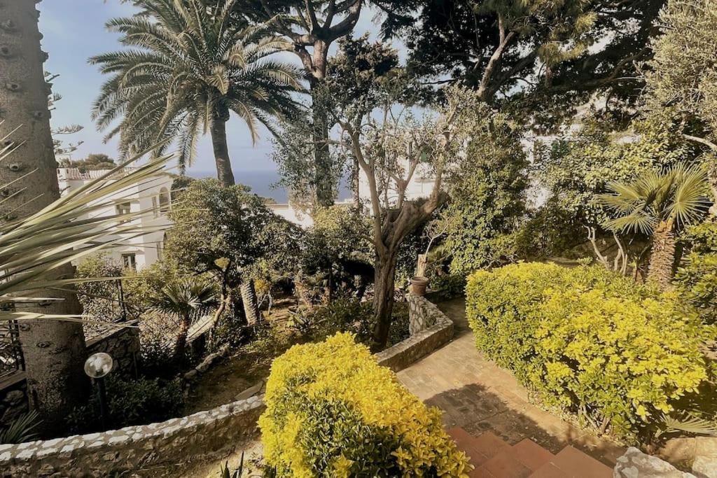 Villa Bianca, nel cuore di Capri view 3