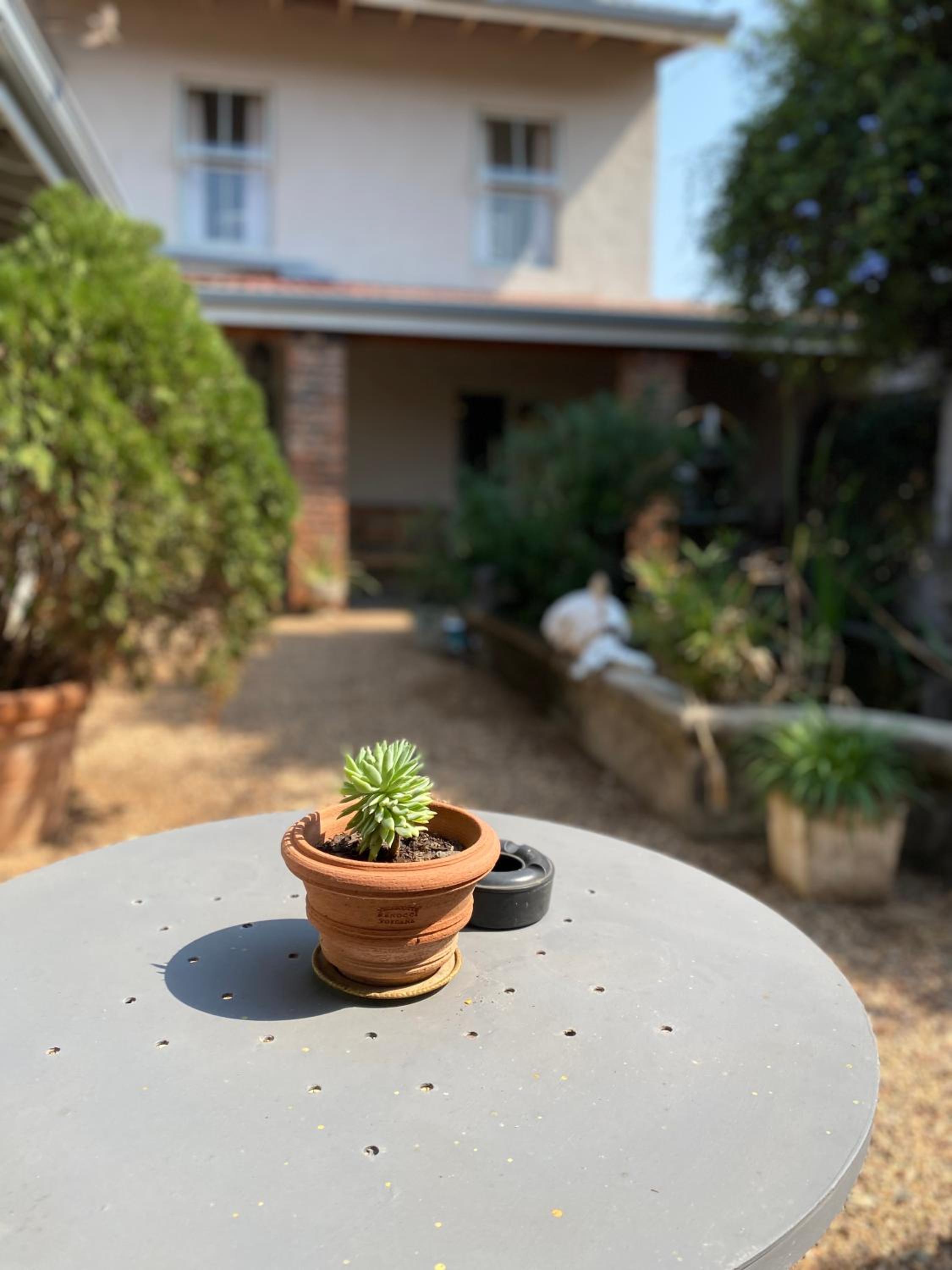 Maison H Guest House, photo 31