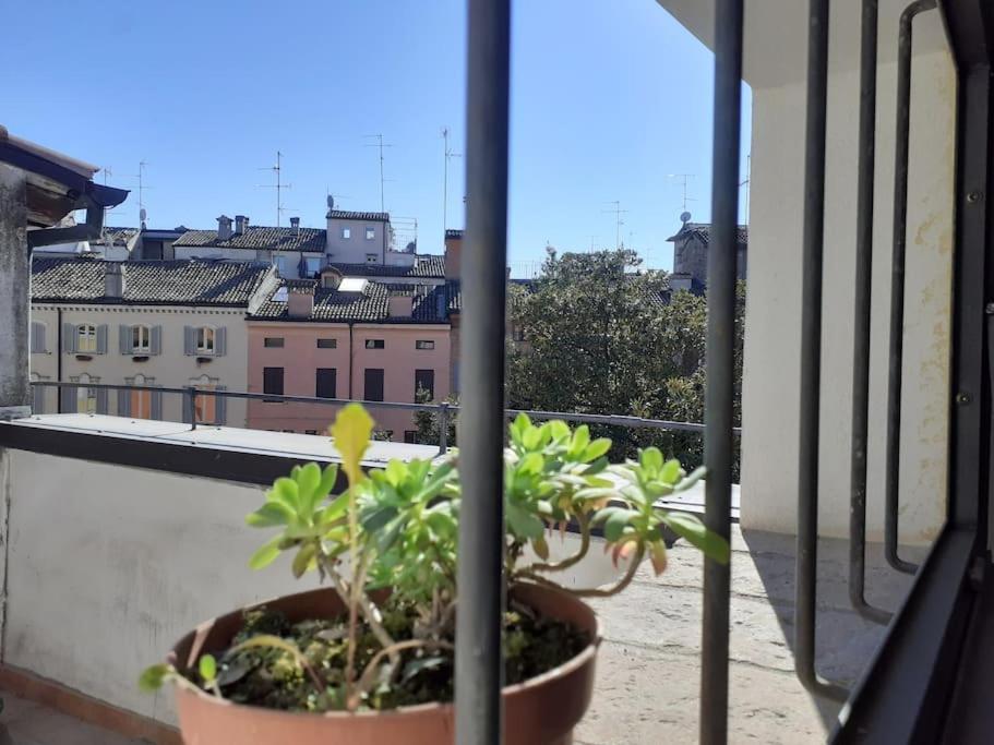 Eulalia's House photo 3