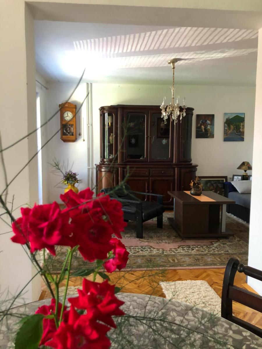 Apartman Balkan view 3
