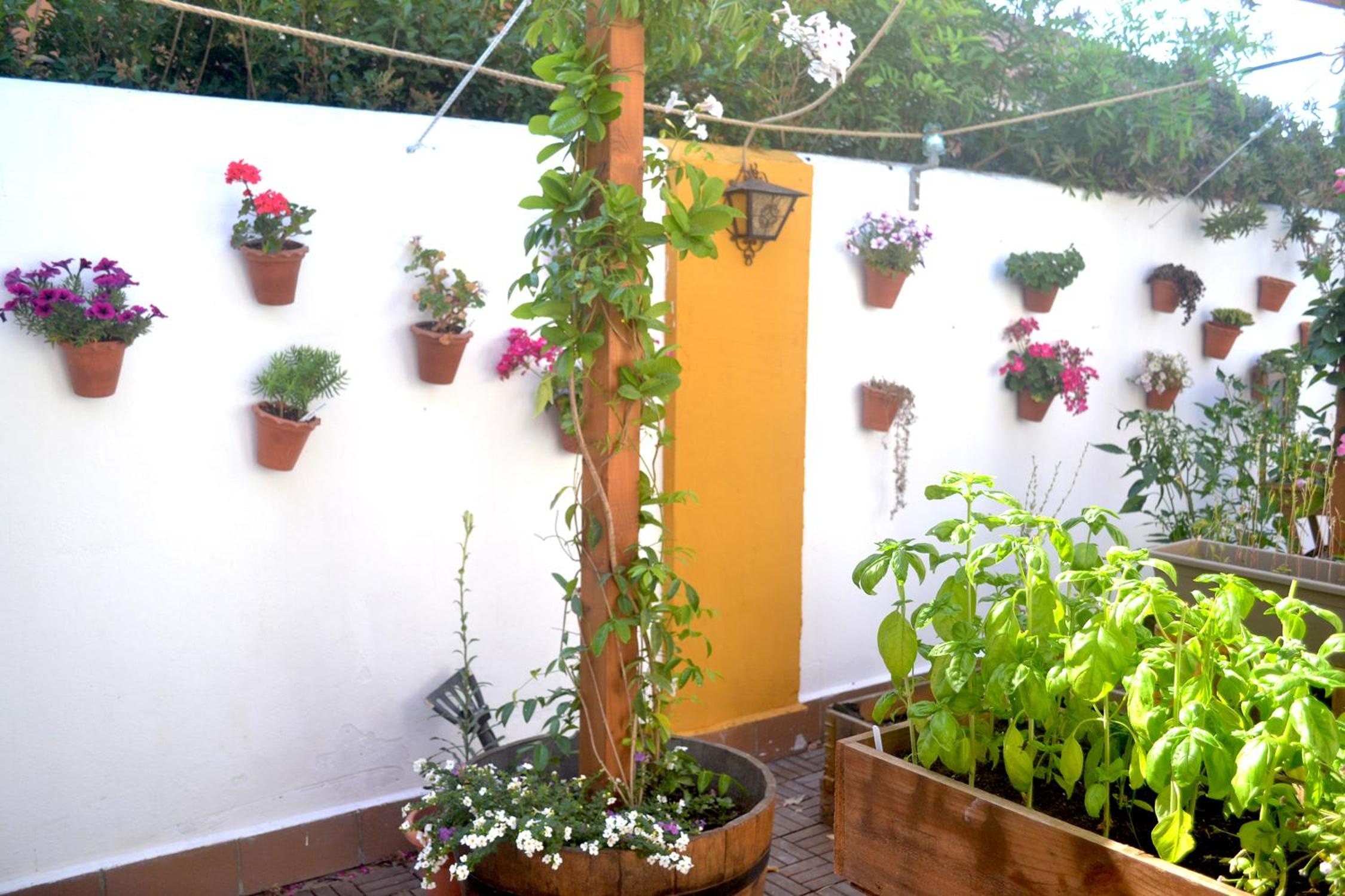 Chalets en Sancti Petri