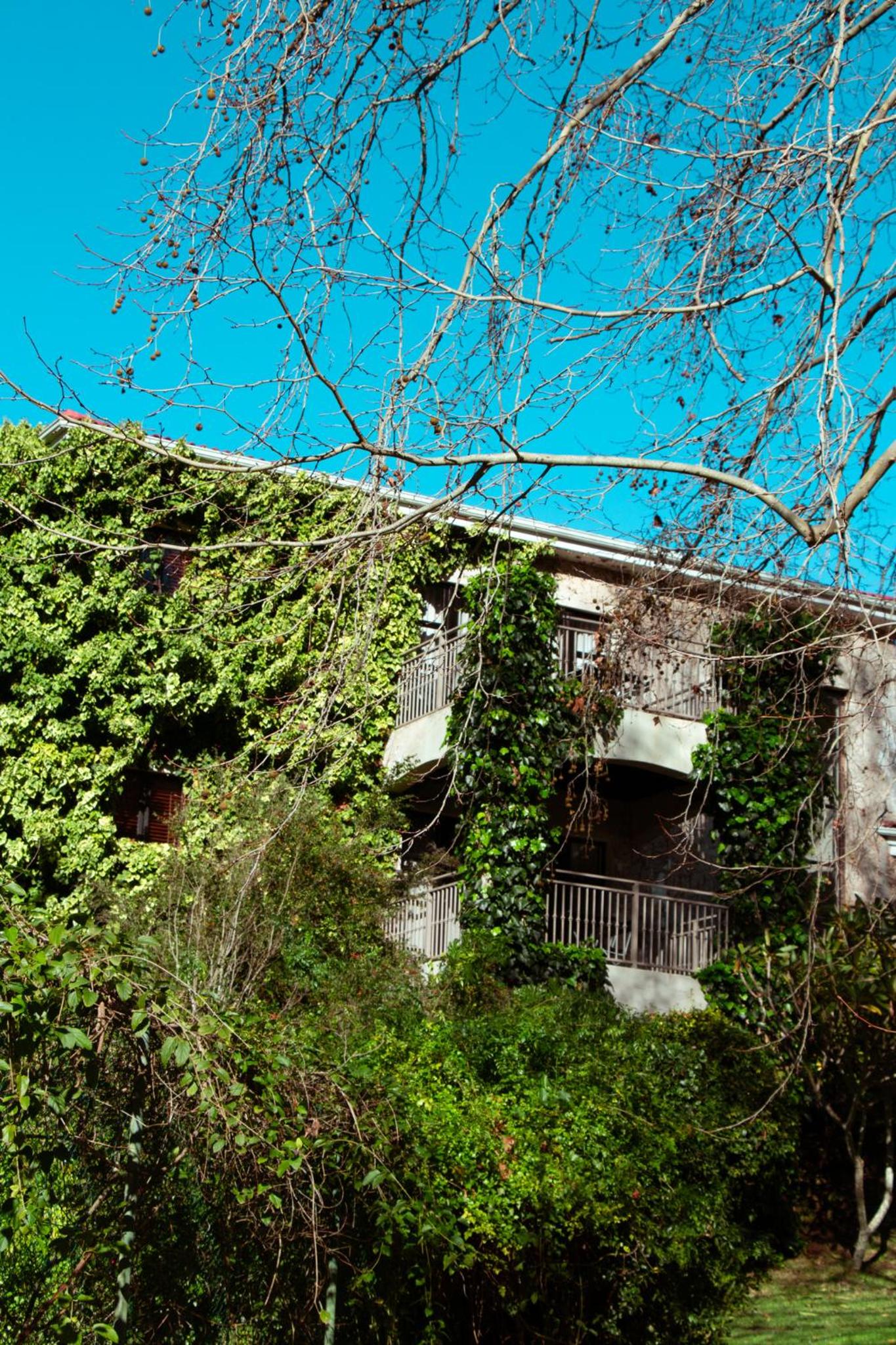 Southern Light Country House