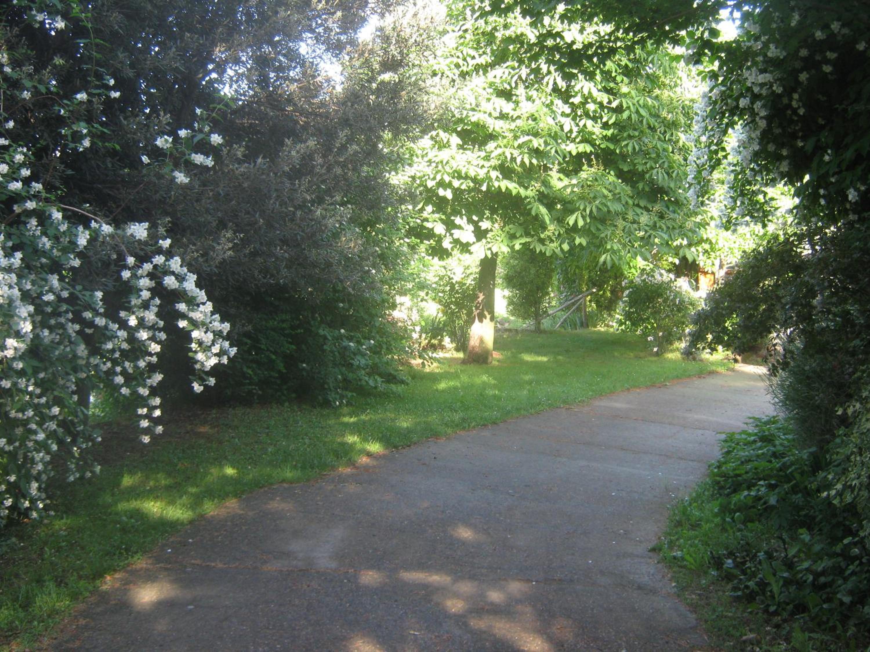 Photo 32