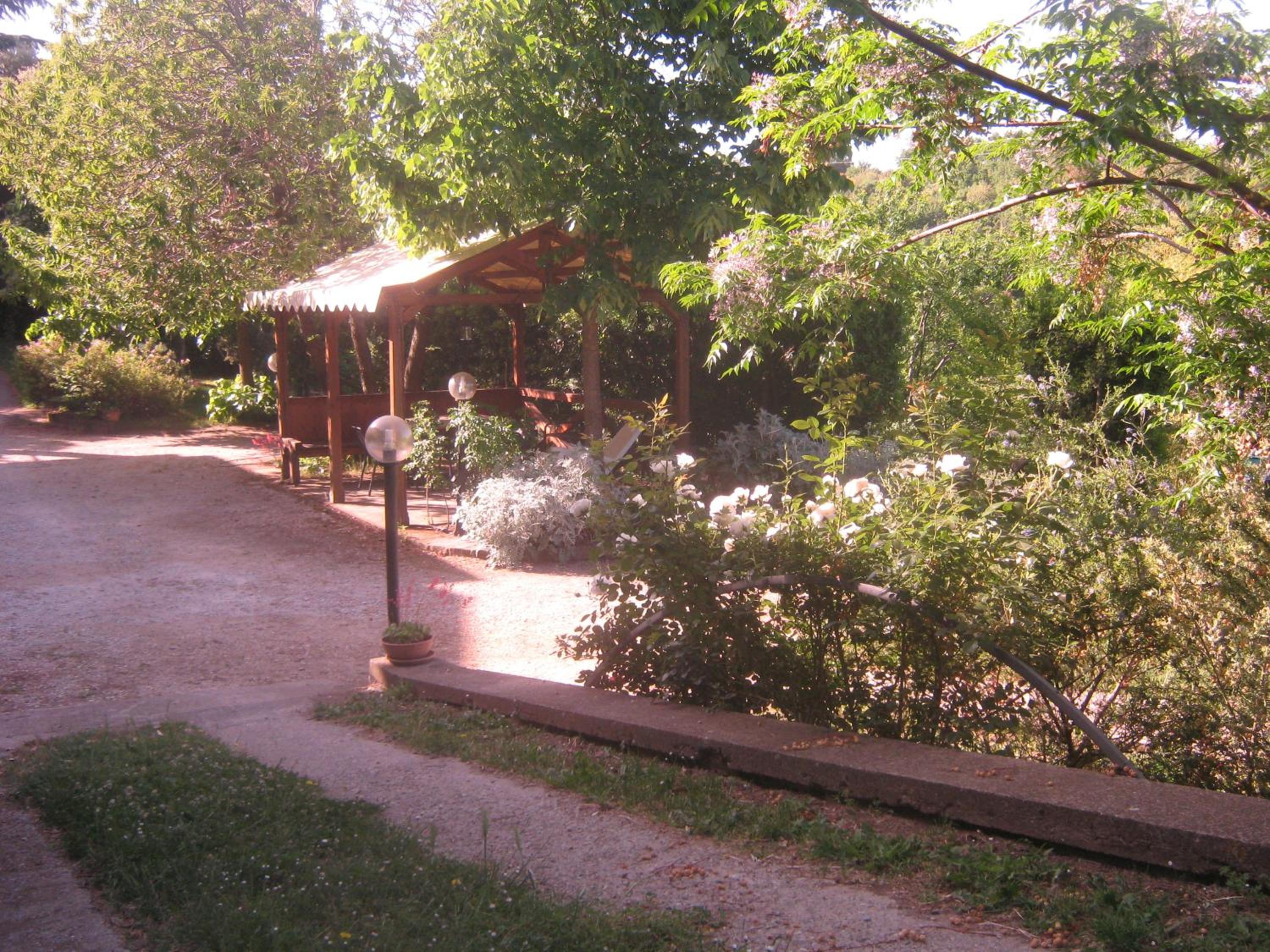 Photo 31