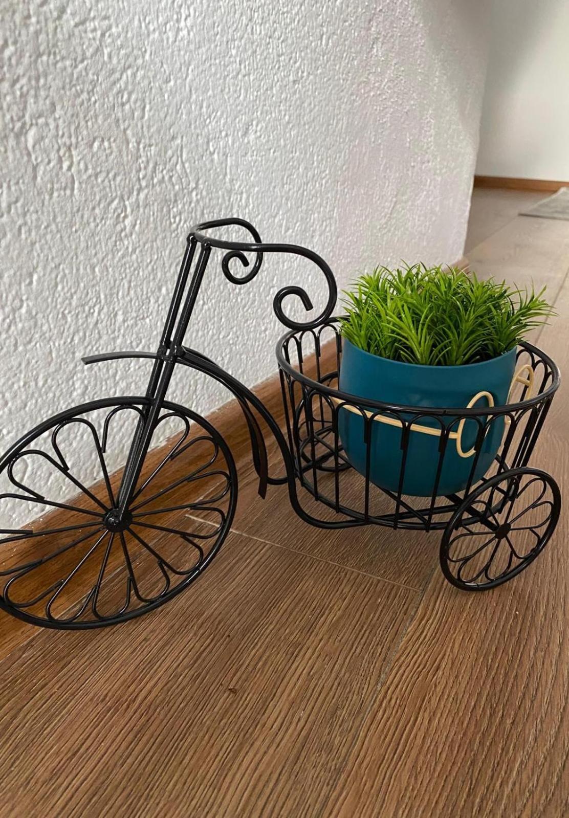 Apartman Albatros