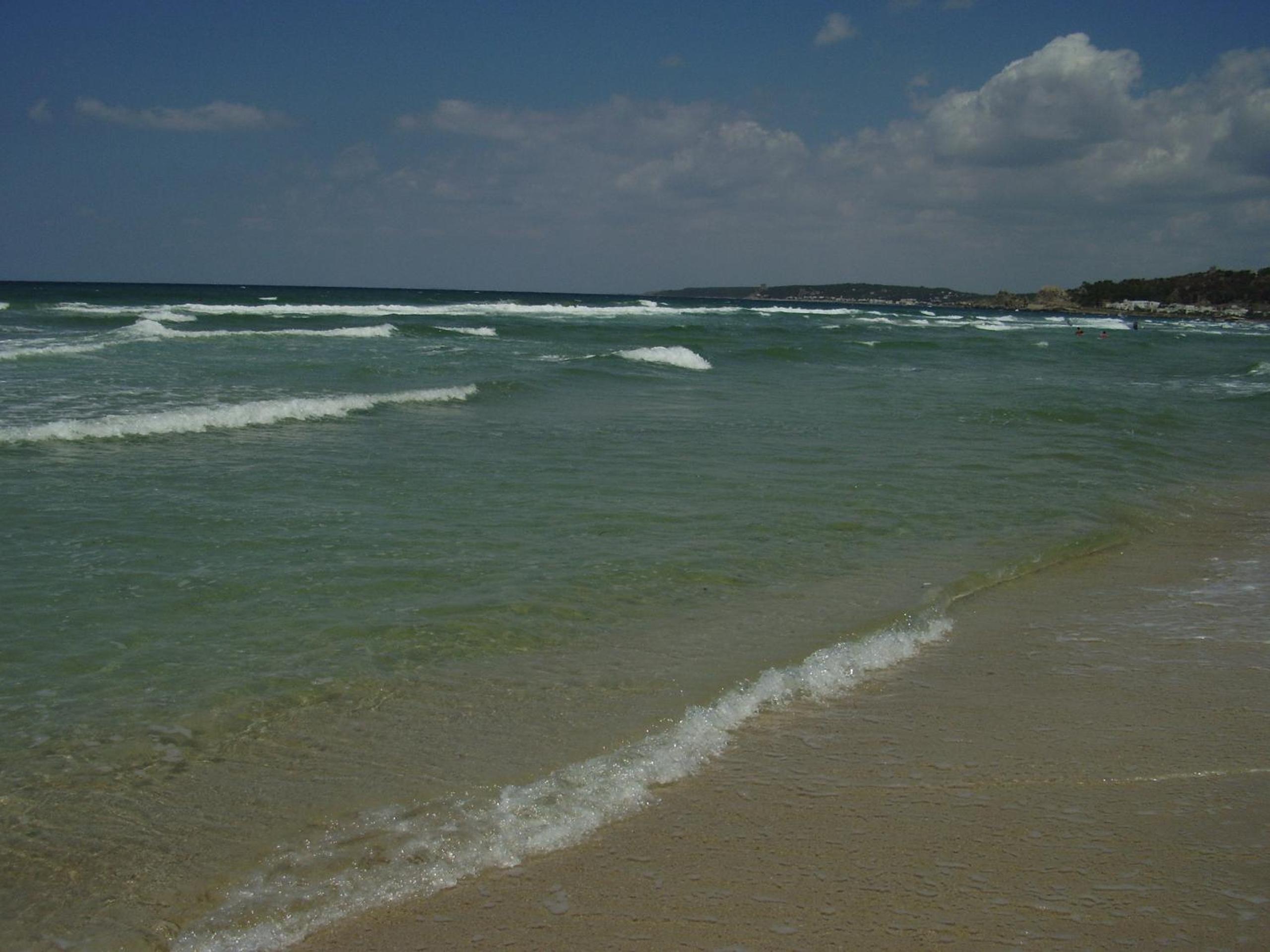 Photo 24