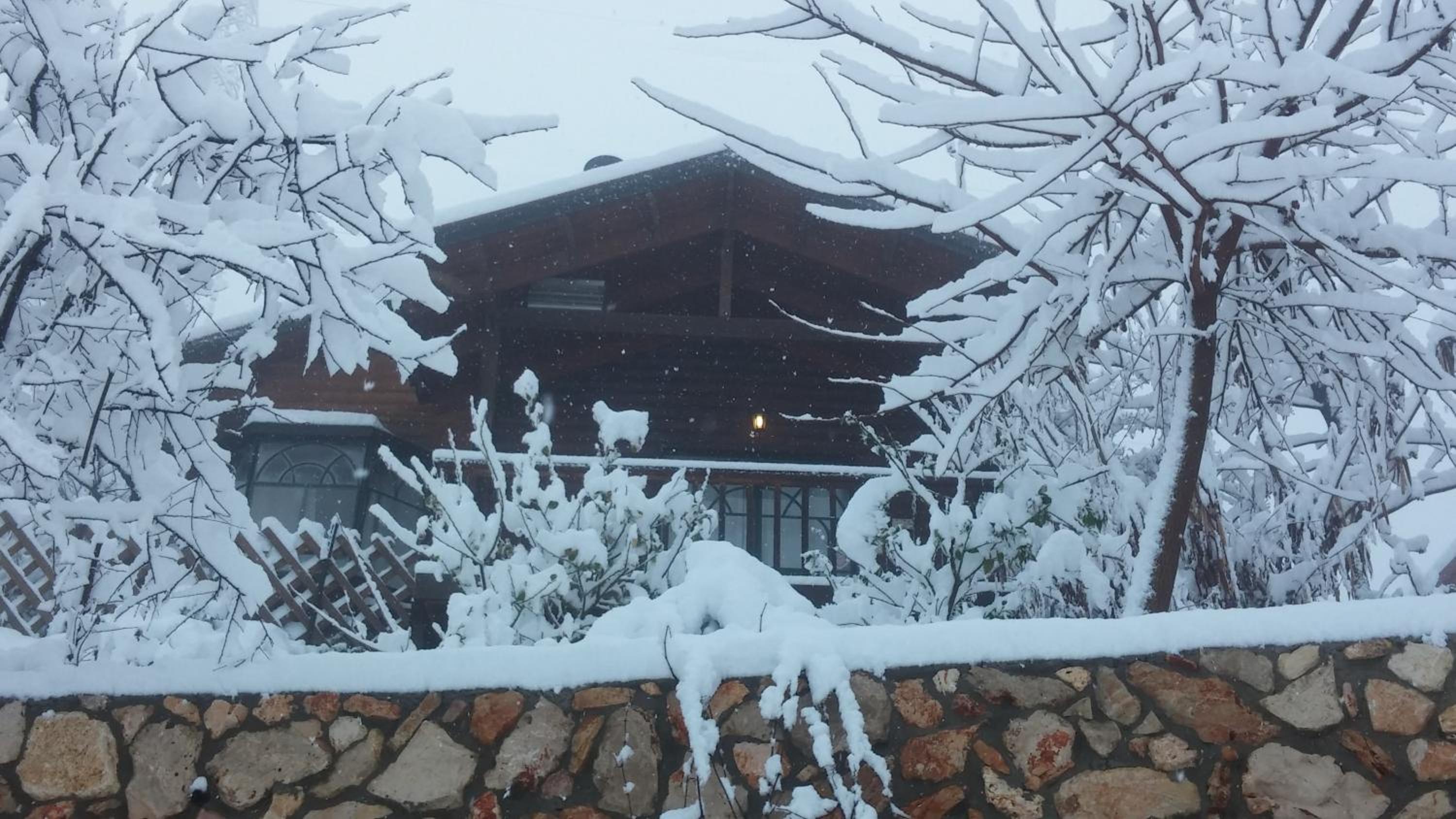 Hotel First Light Cabins - Image 1