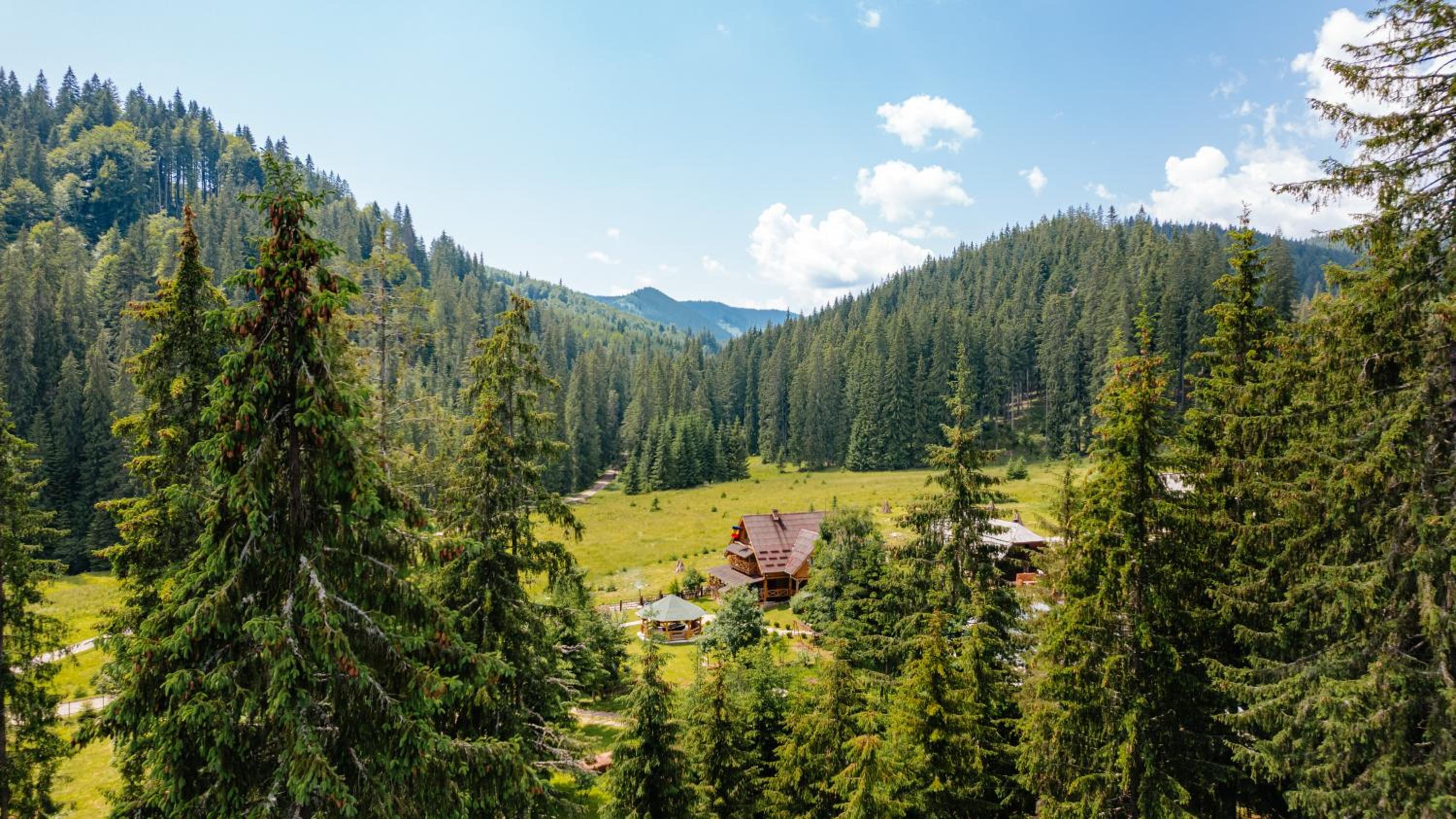 ViiLa Munte Călimani view 2