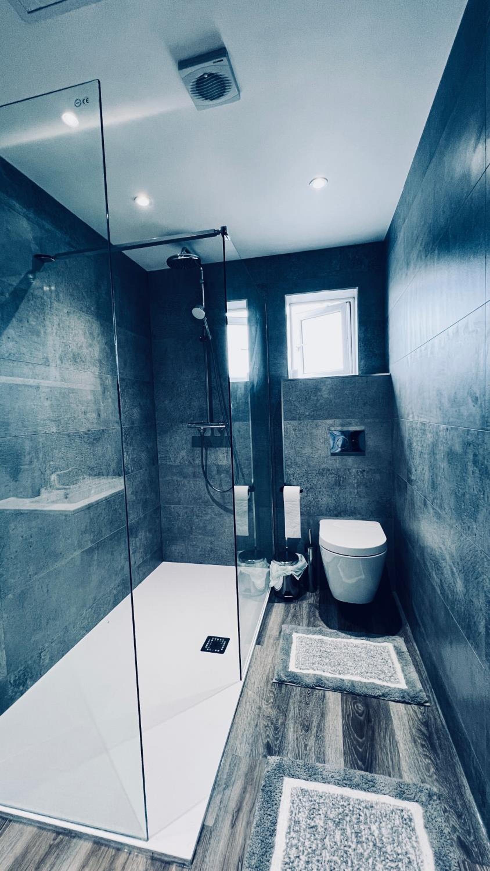 Deluxe 2 Bedroom Apartment