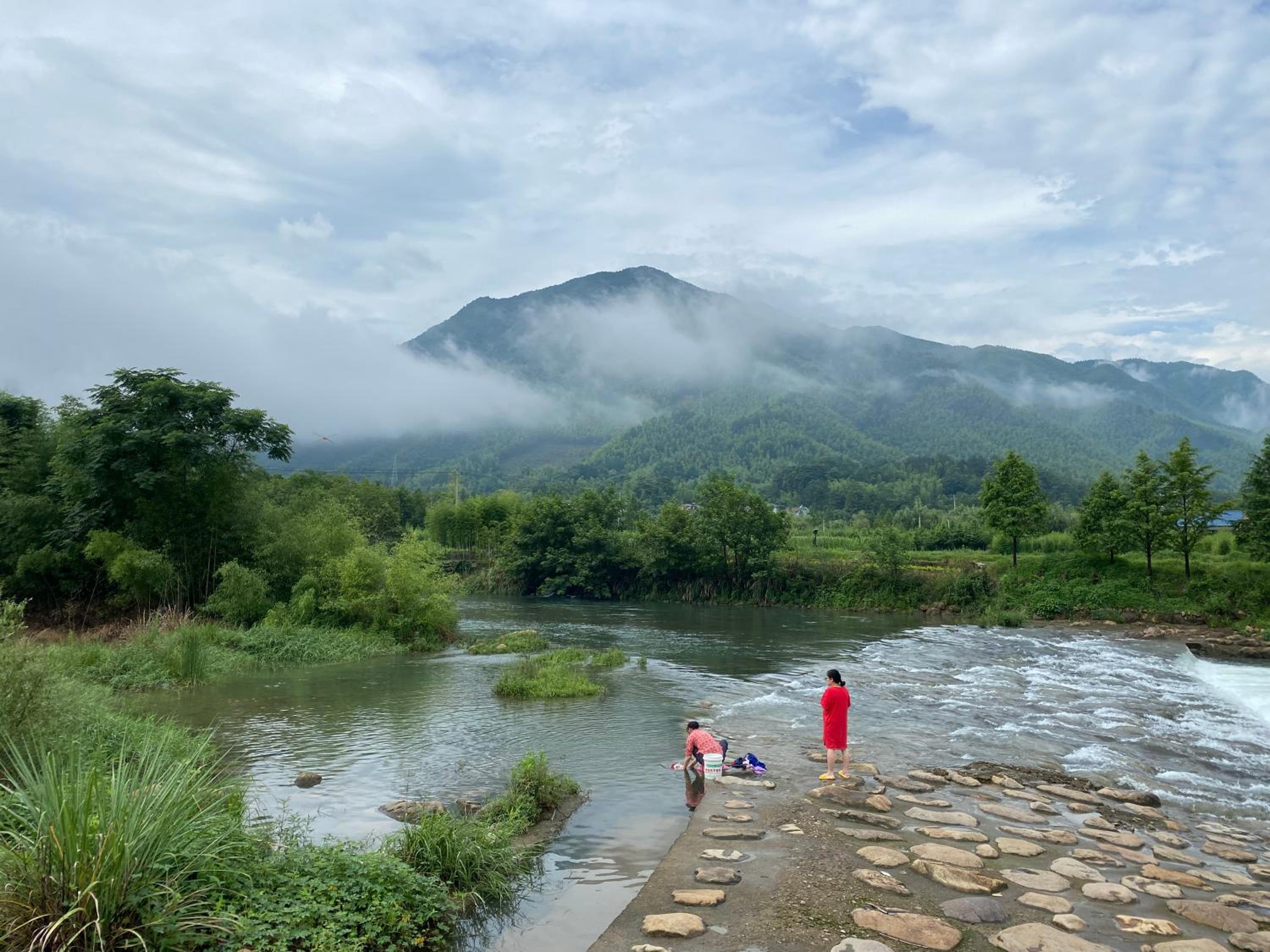安吉 小森林 Little Forest Anji