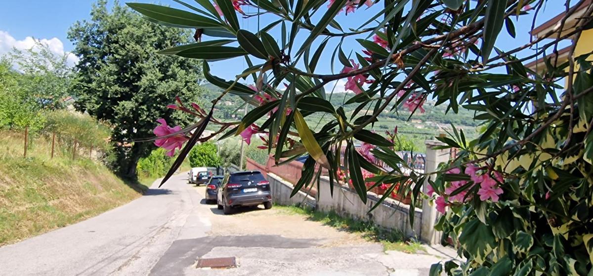 Appartamenti a Bardolino view 5