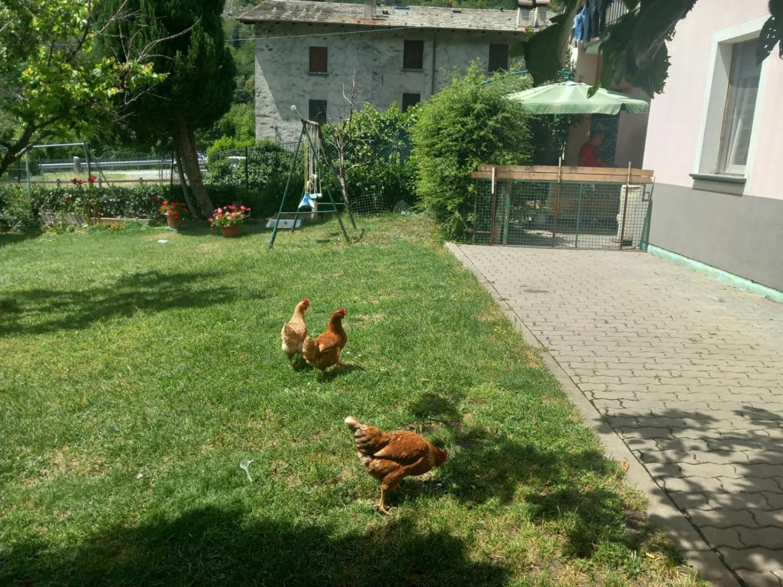 Photo 14
