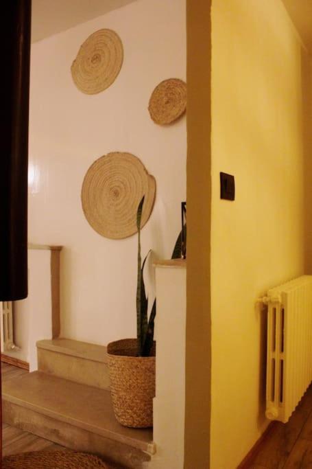 cozy studio in cite ennasr 1 view 2
