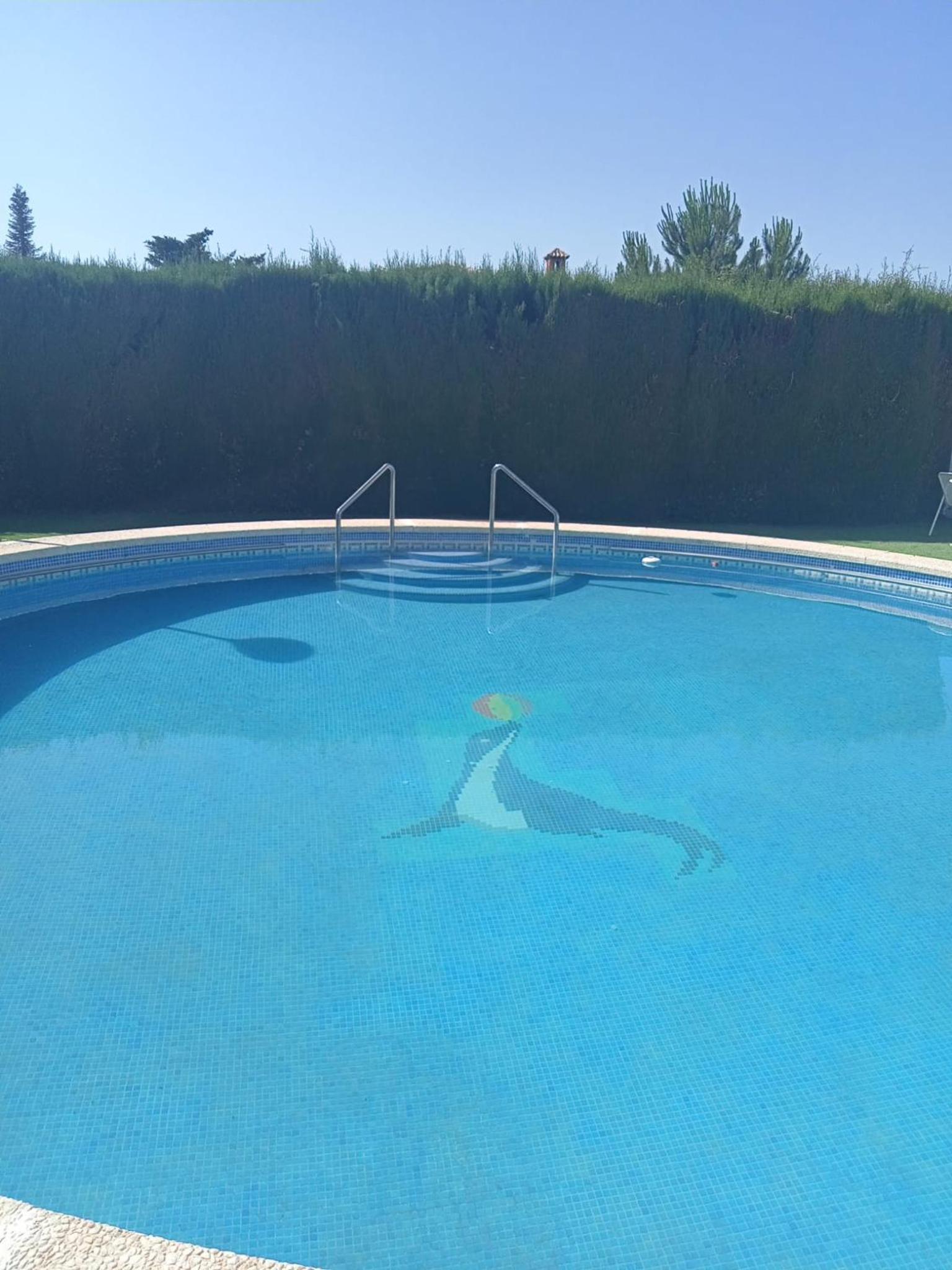 El rincón de Dory view 3