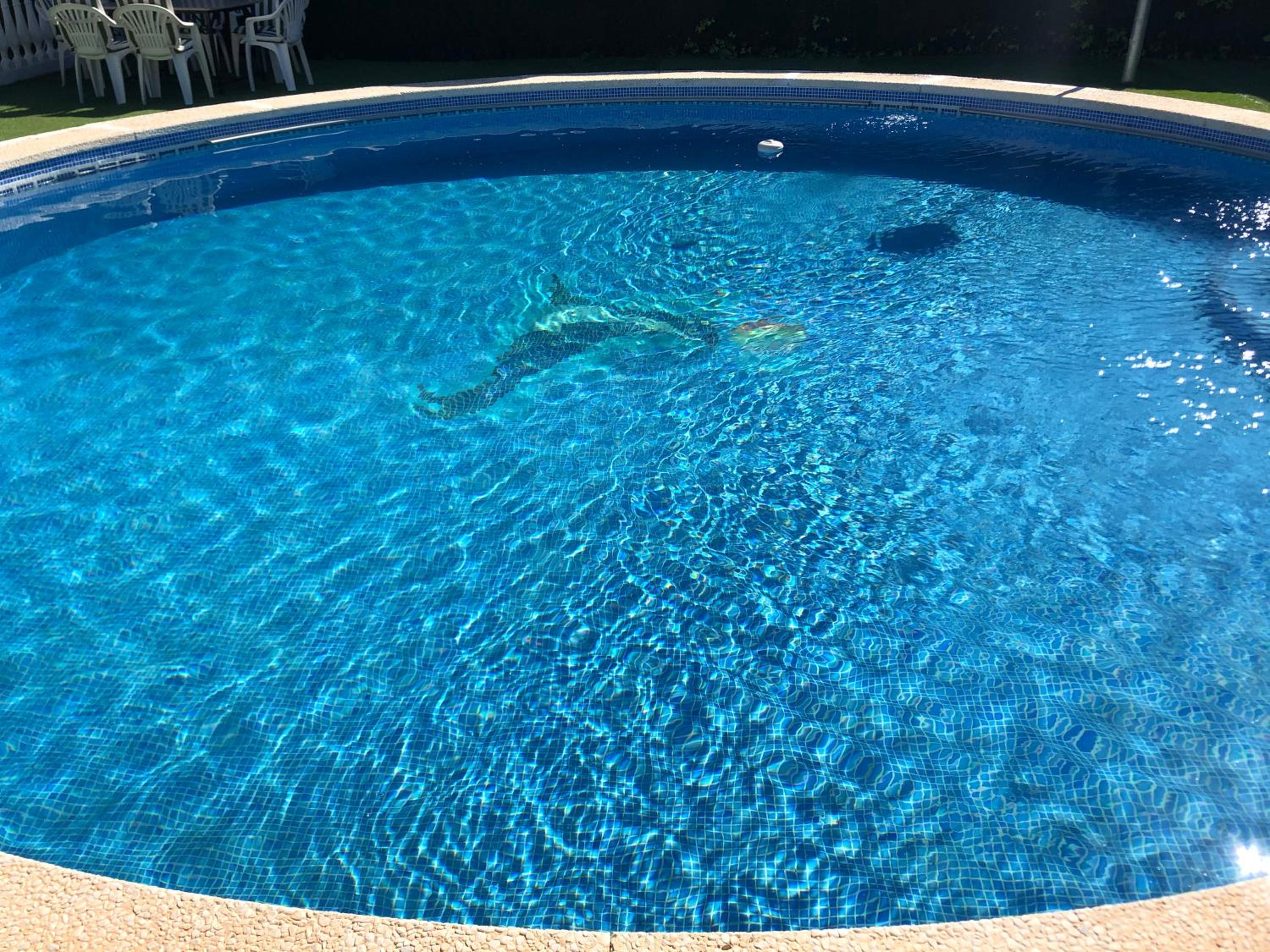 El rincón de Dory view 5