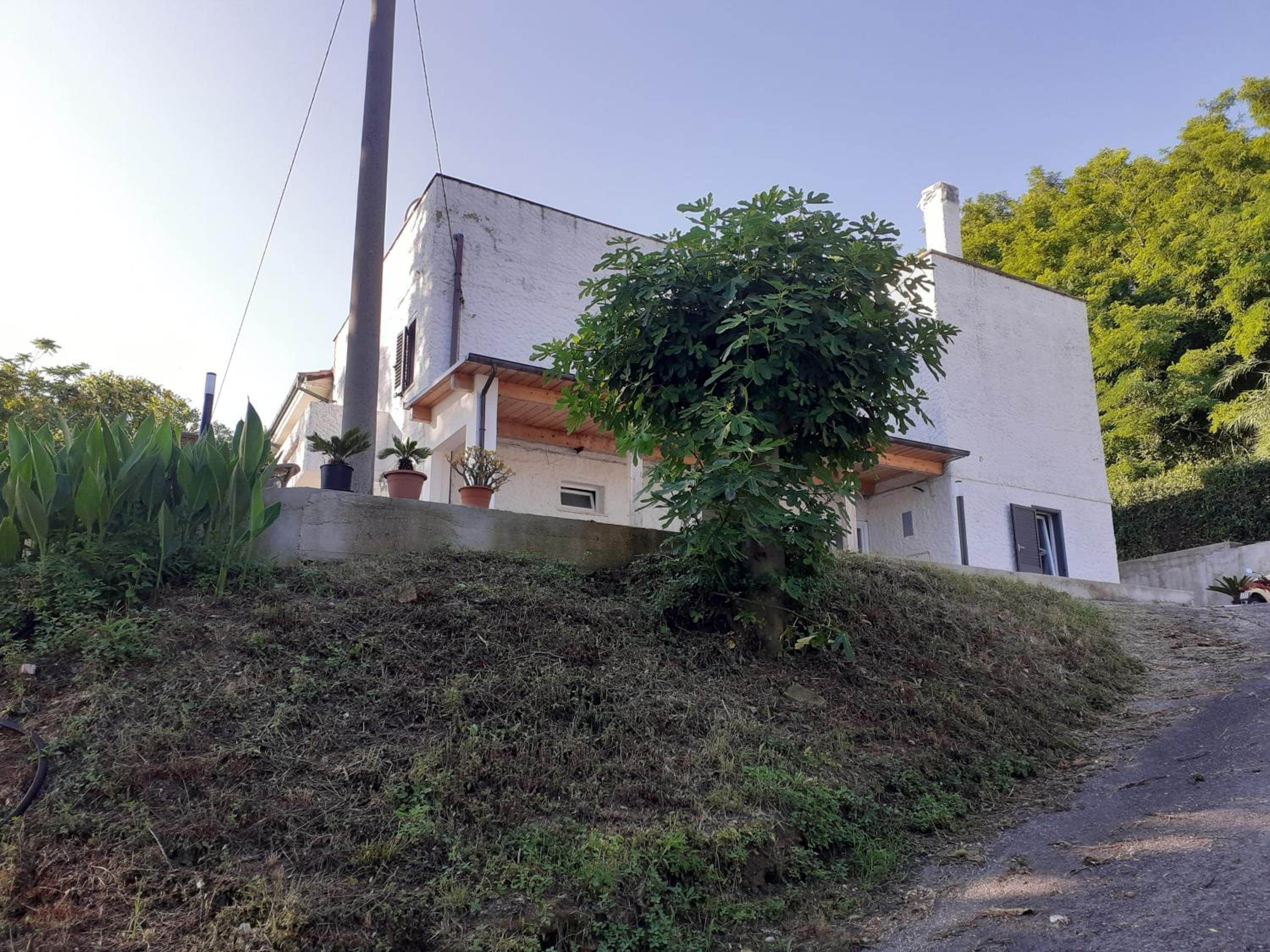 Photo 27