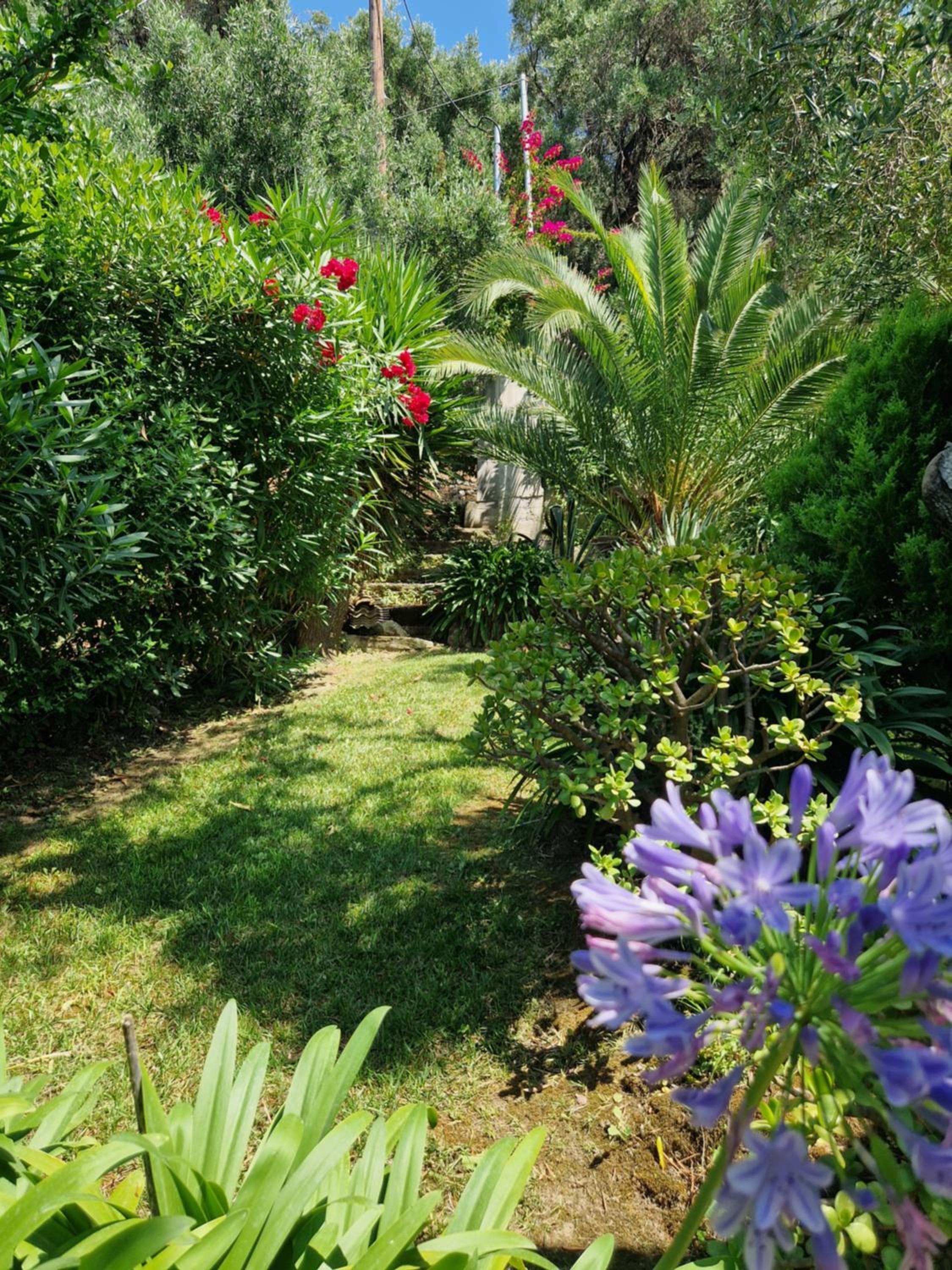 Villa Olivia view 4