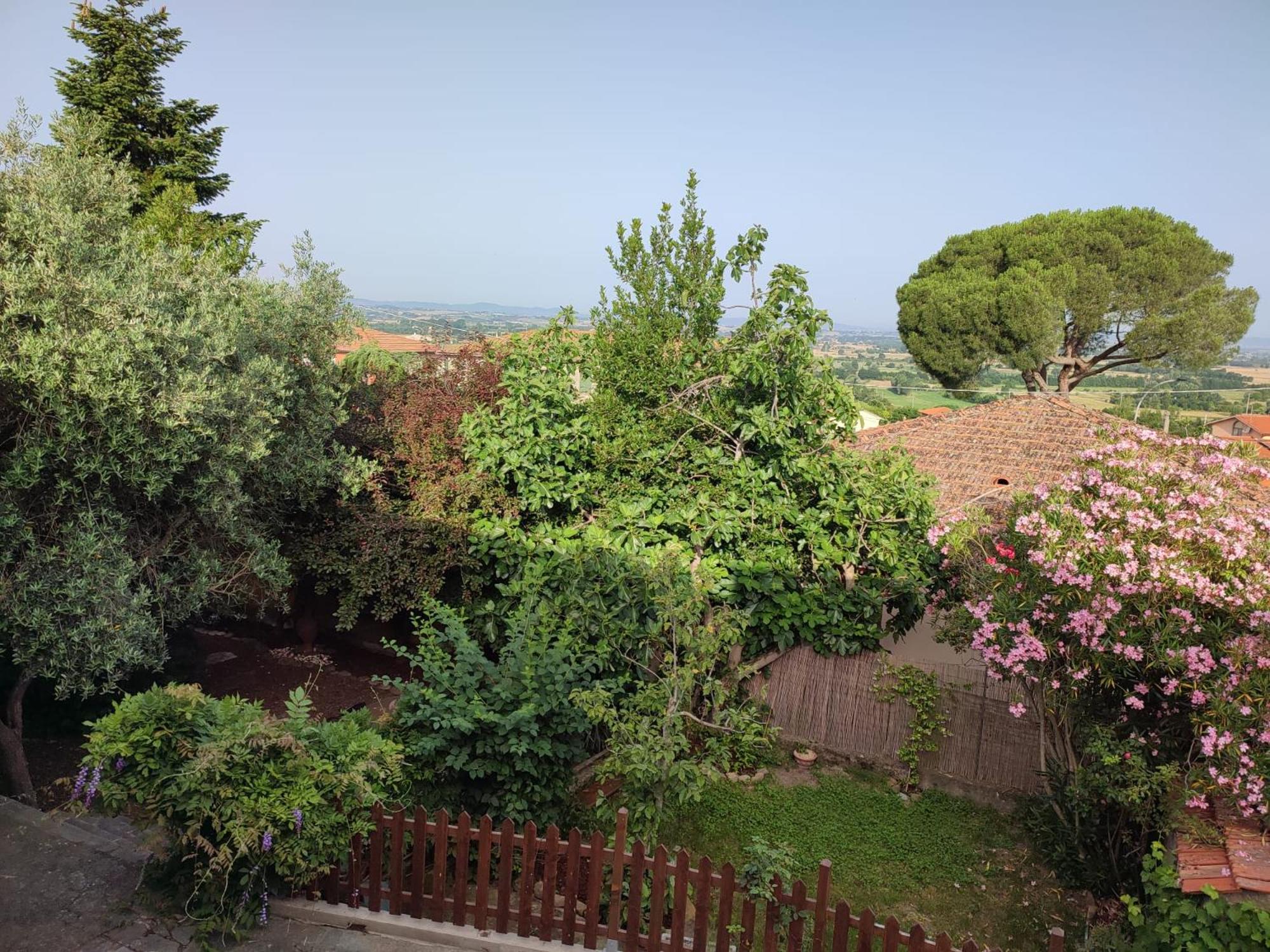 Cortona Vacations - Il Fico di Cortona - Property Image 32