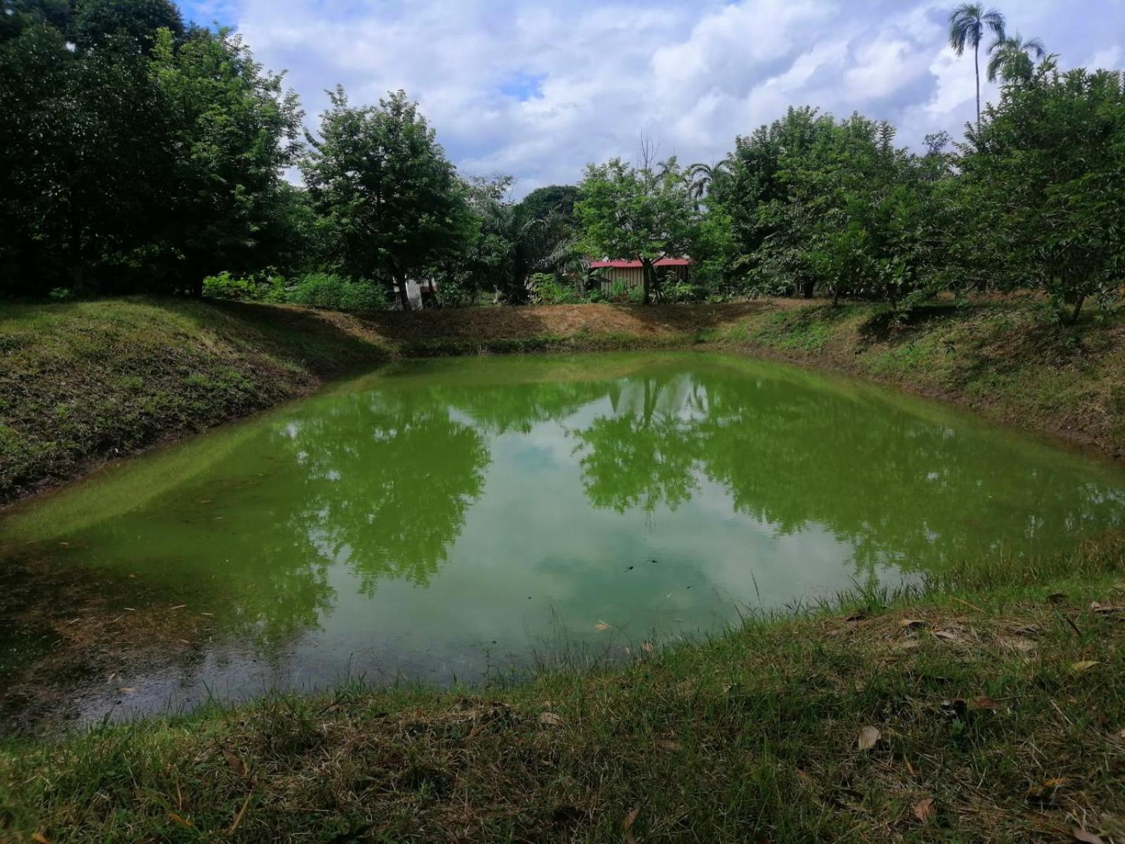 FINCA AGROTURISTICA VILLA MANE