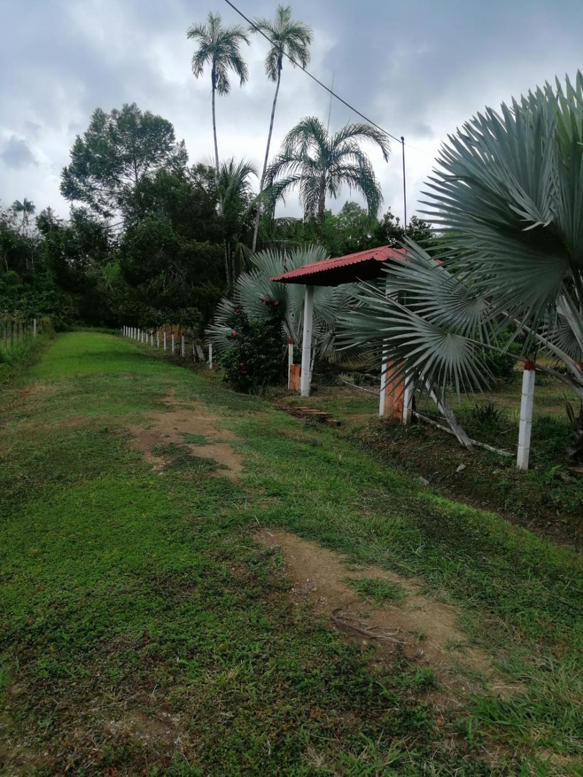 FINCA AGROTURISTICA VILLA MANE