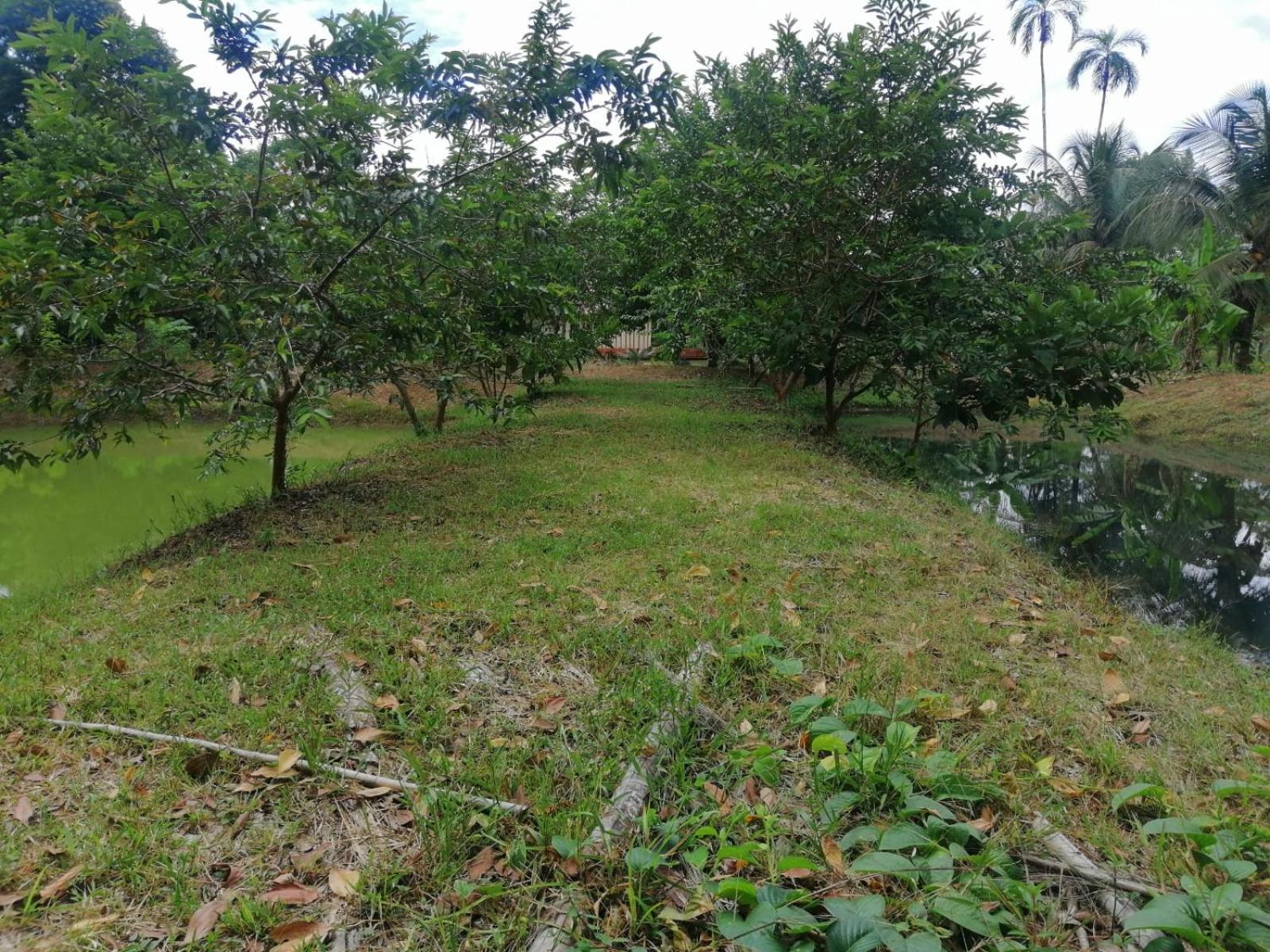 FINCA AGROTURISTICA VILLA MANE
